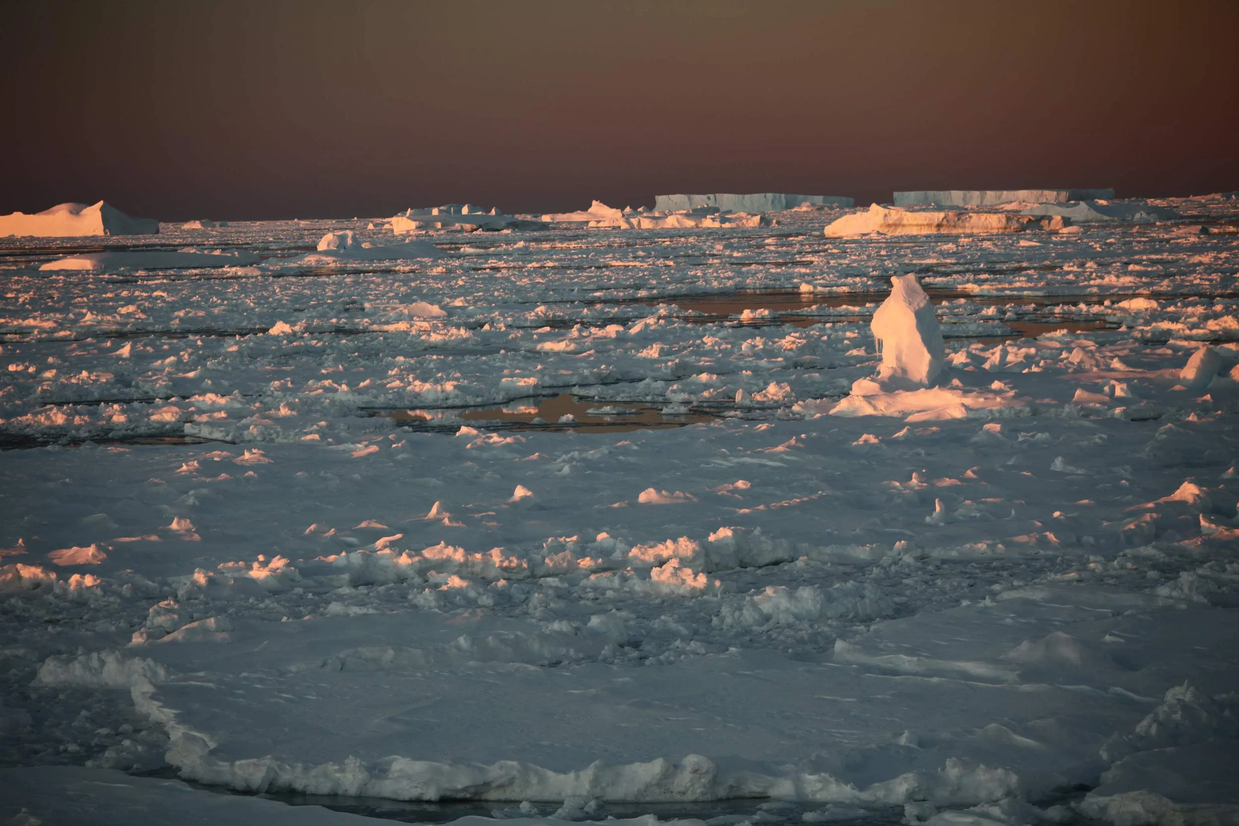 IMG_0600 (center).jpg