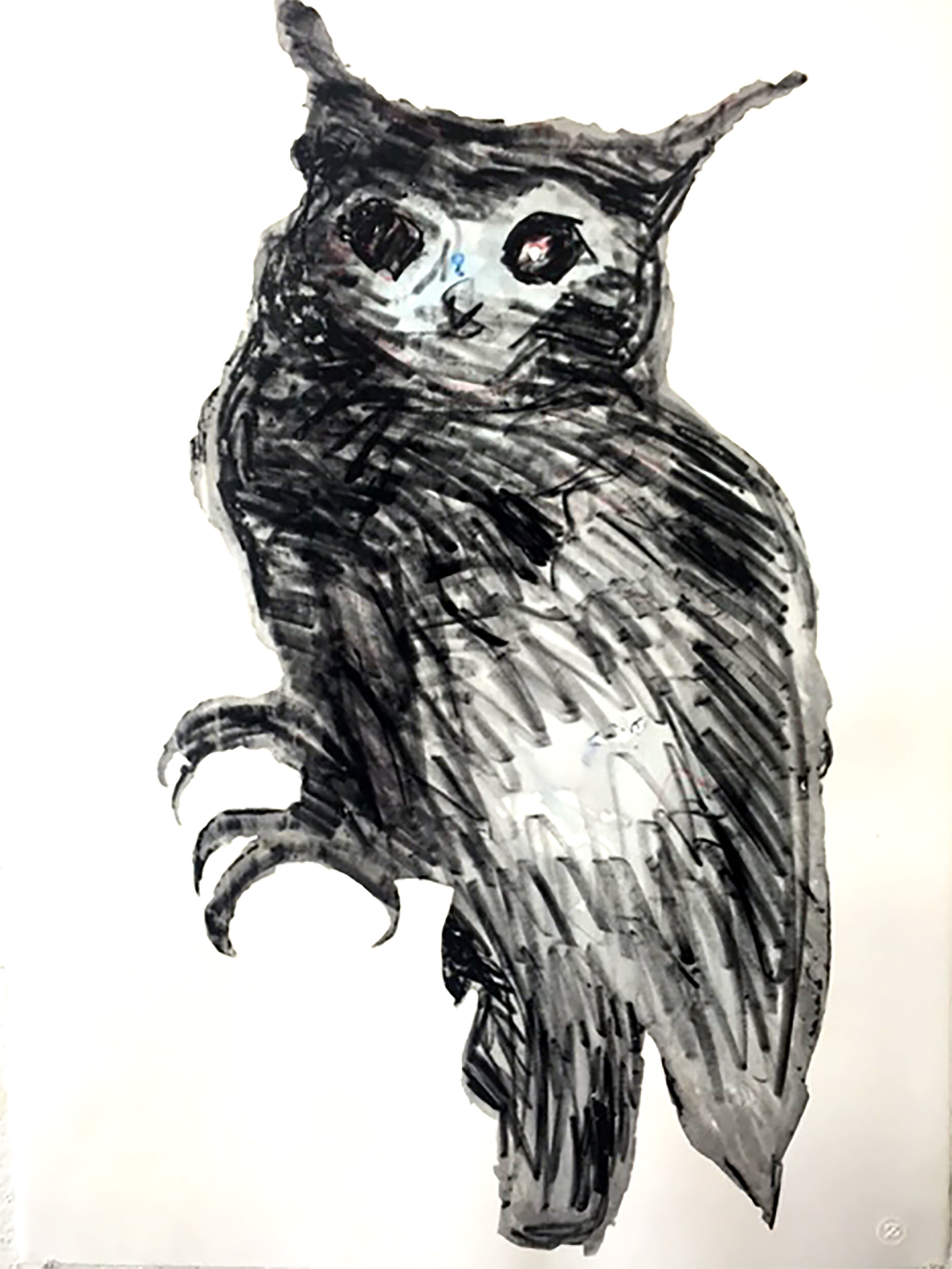 Owl 2.jpg