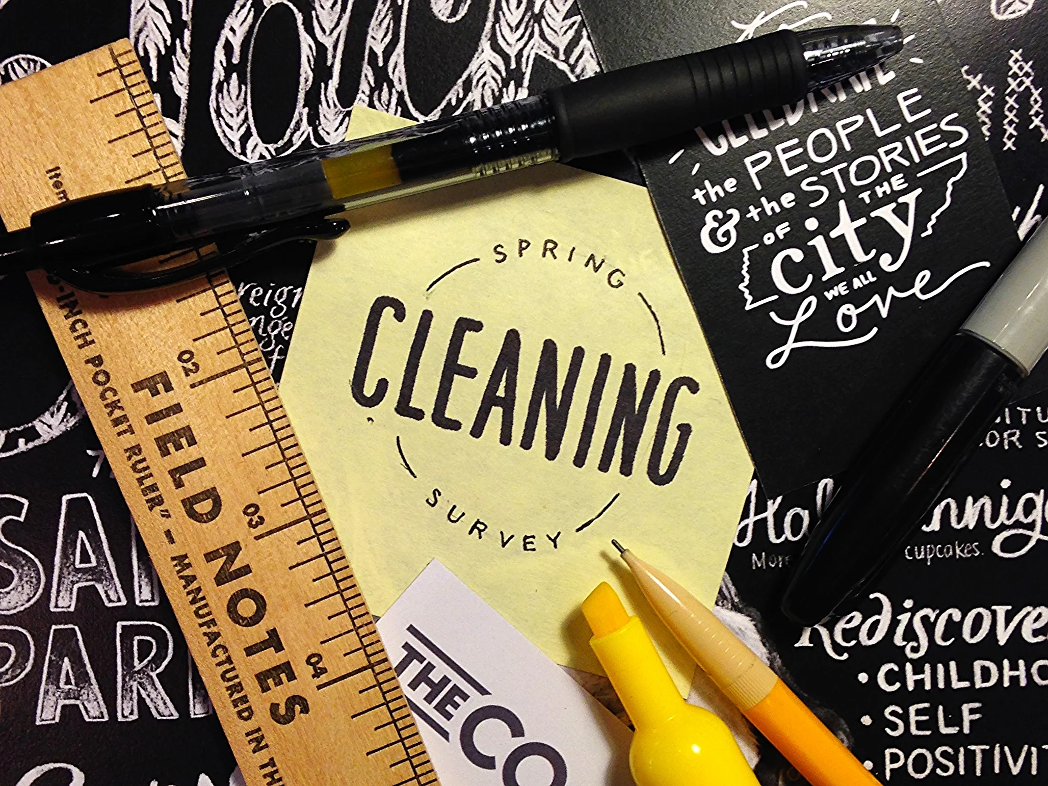 Spring Cleaning Survey 2016