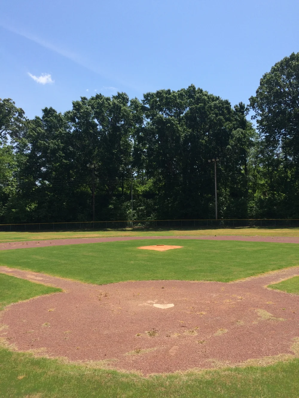On Lions Field — Our Jackson Home