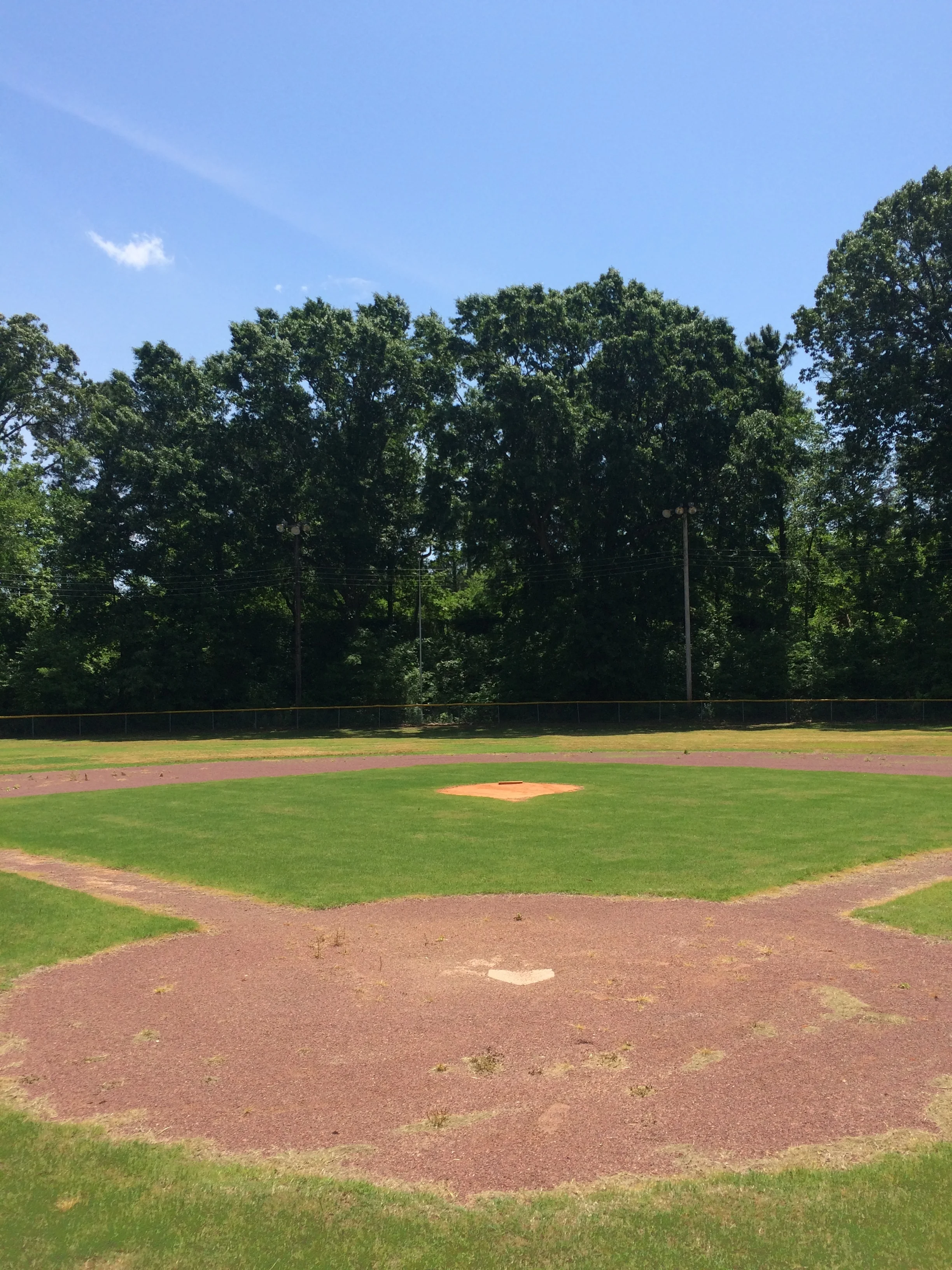 On: Lions Field