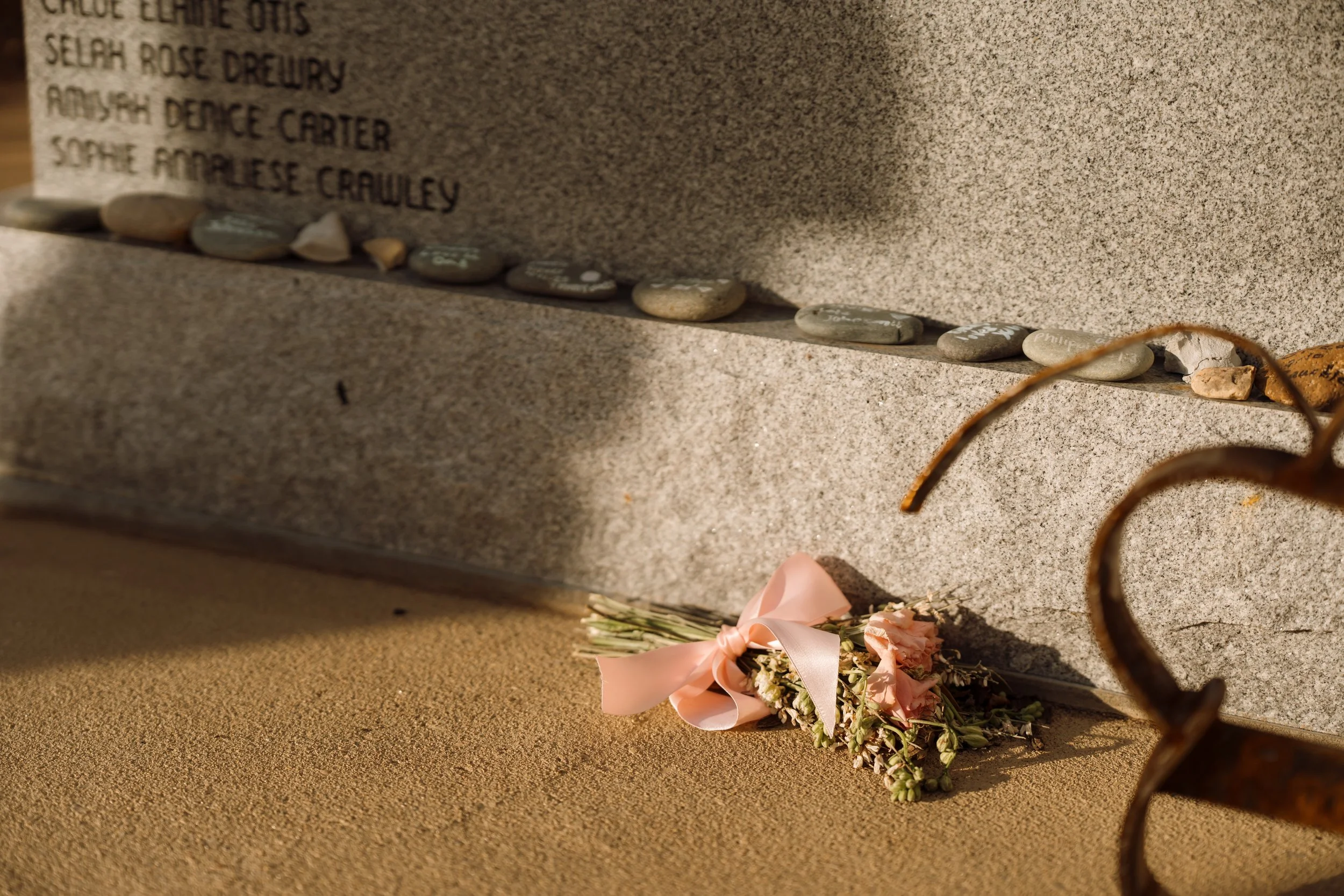 Butterfly's Embrace: Preserving the Unseen