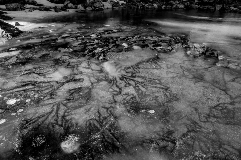 20131016_REI_Autumn_2_DSC8525.jpg