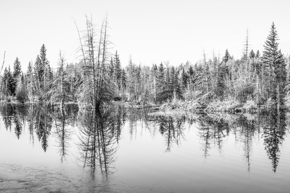 20131018_REI_Autumn_2_DSC9445.jpg