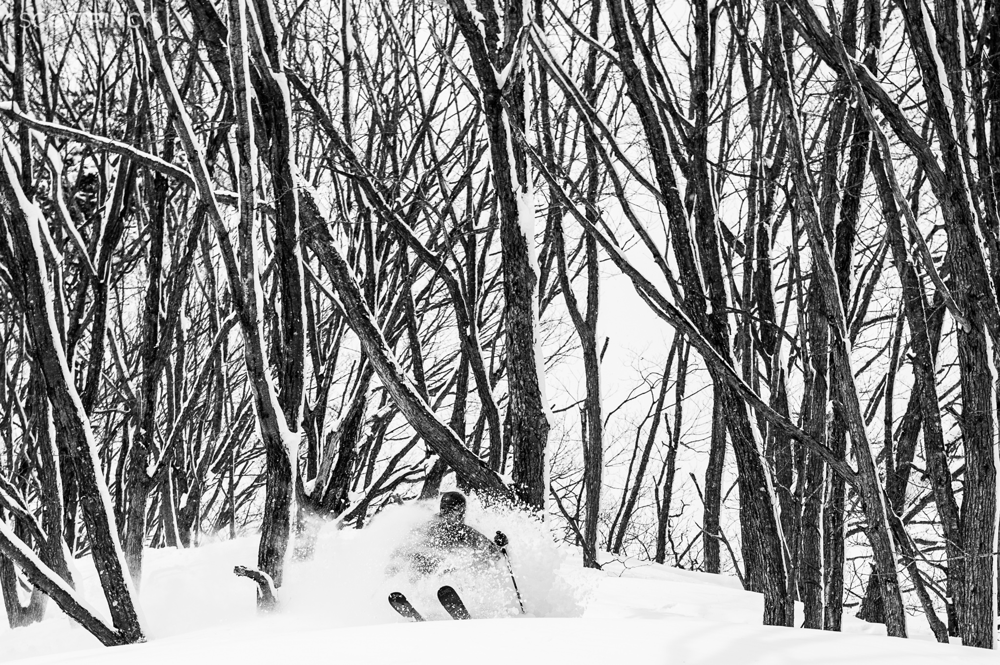 5_20150212_SR_Japan_1_DSC1161.jpg