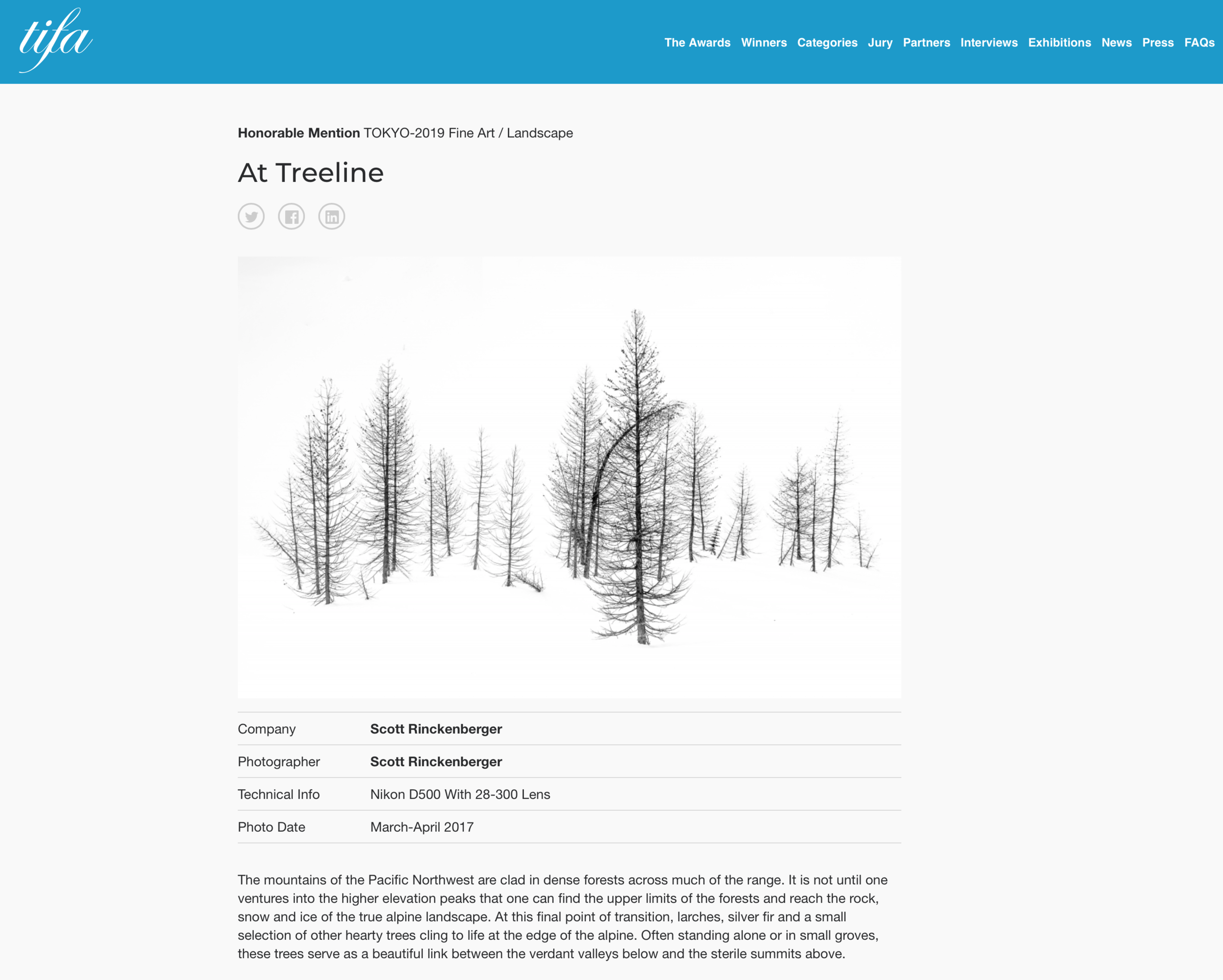 TIFA Winning Image 1