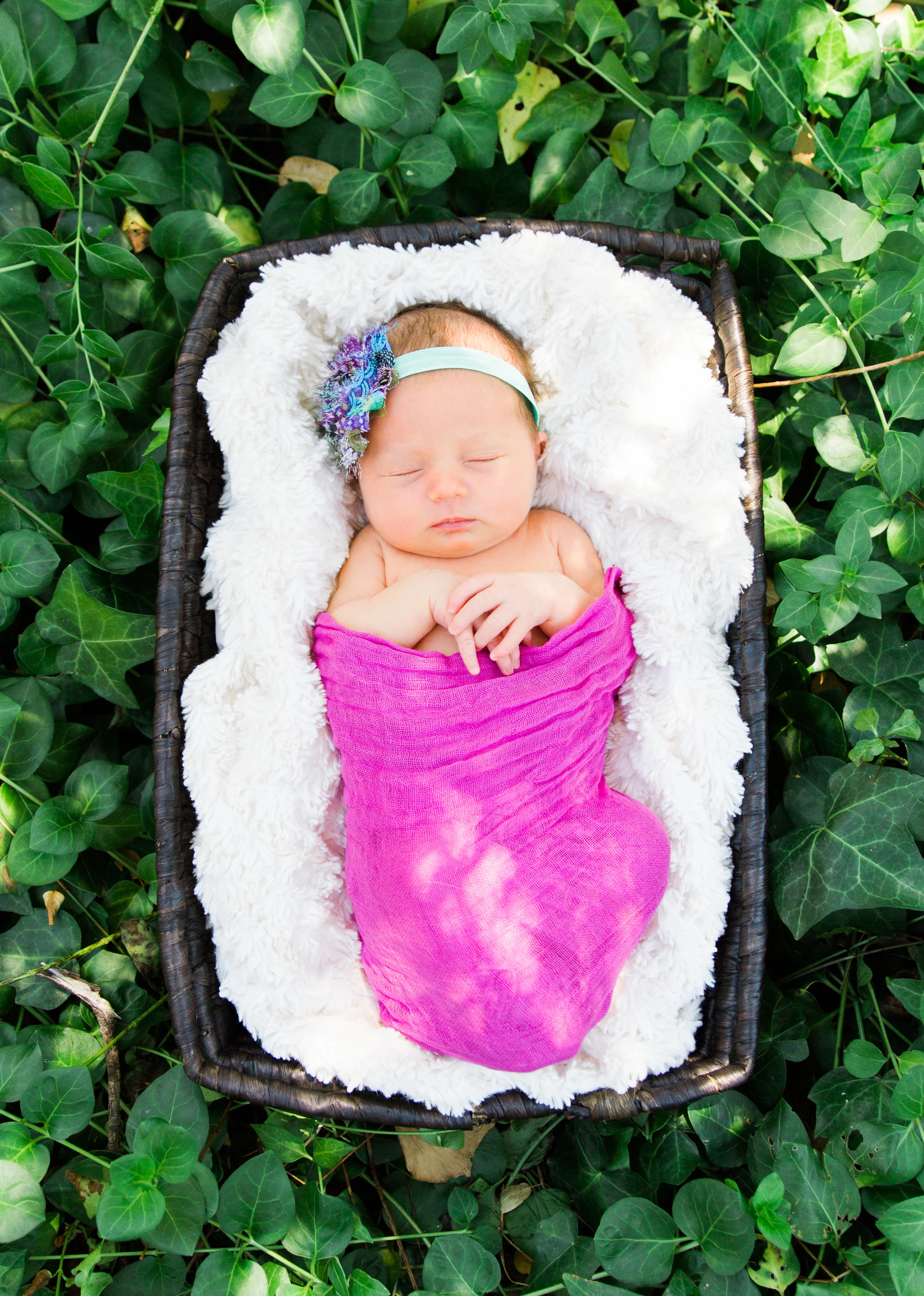 Hanson Family & Quinn Newborn
