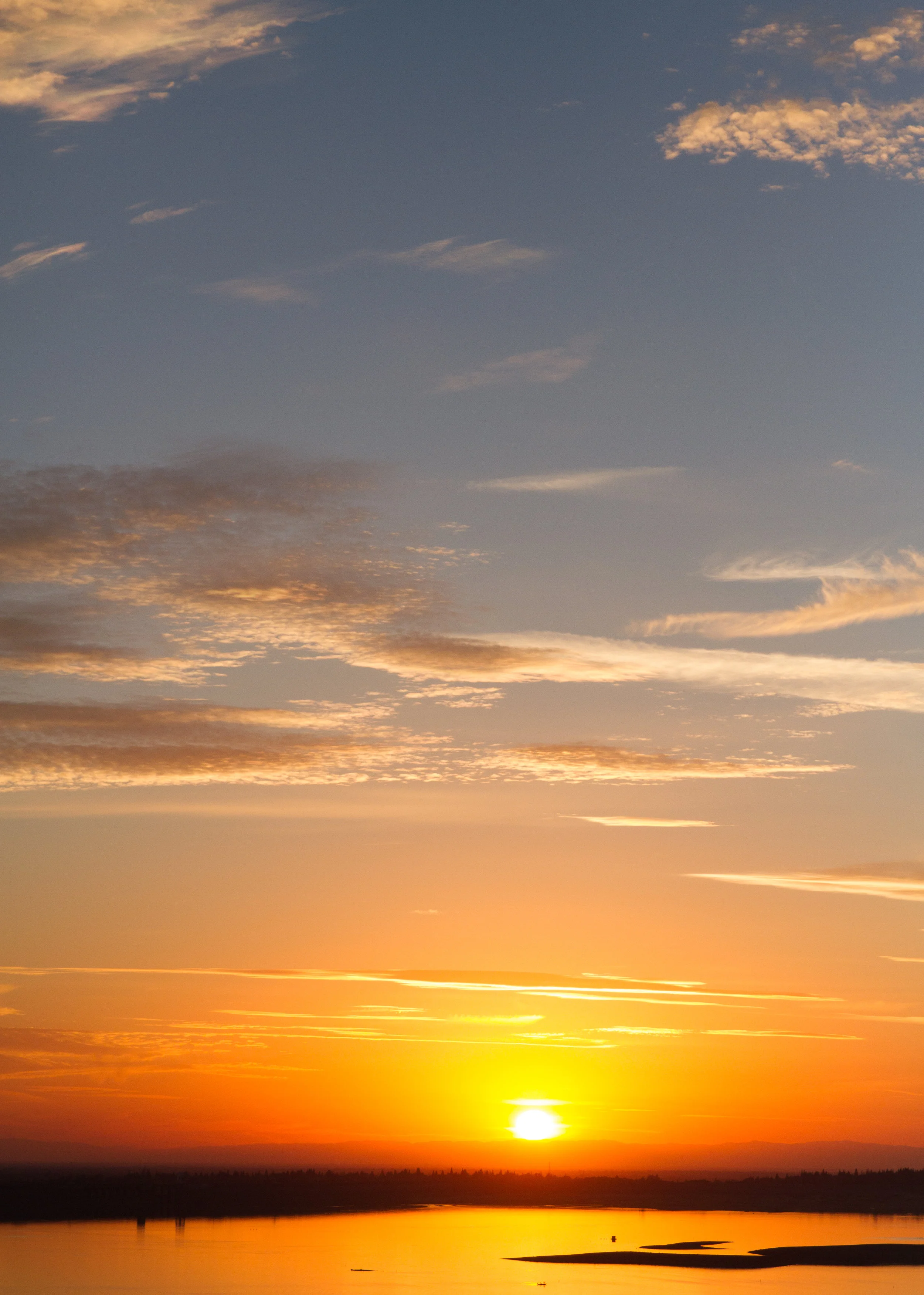 CharissaAnnePhotography-7330.jpg