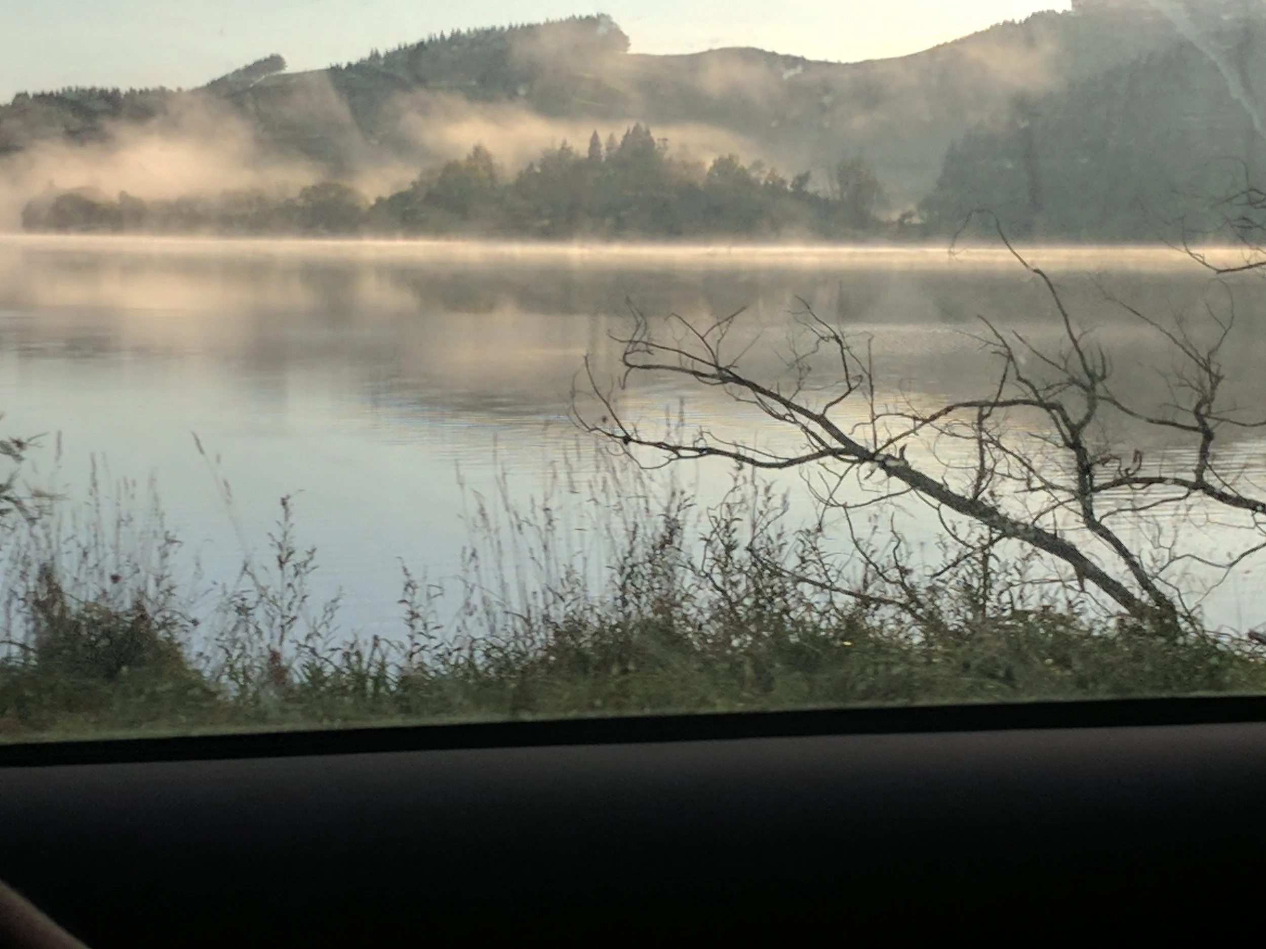 IMG_20170508_080107.jpg