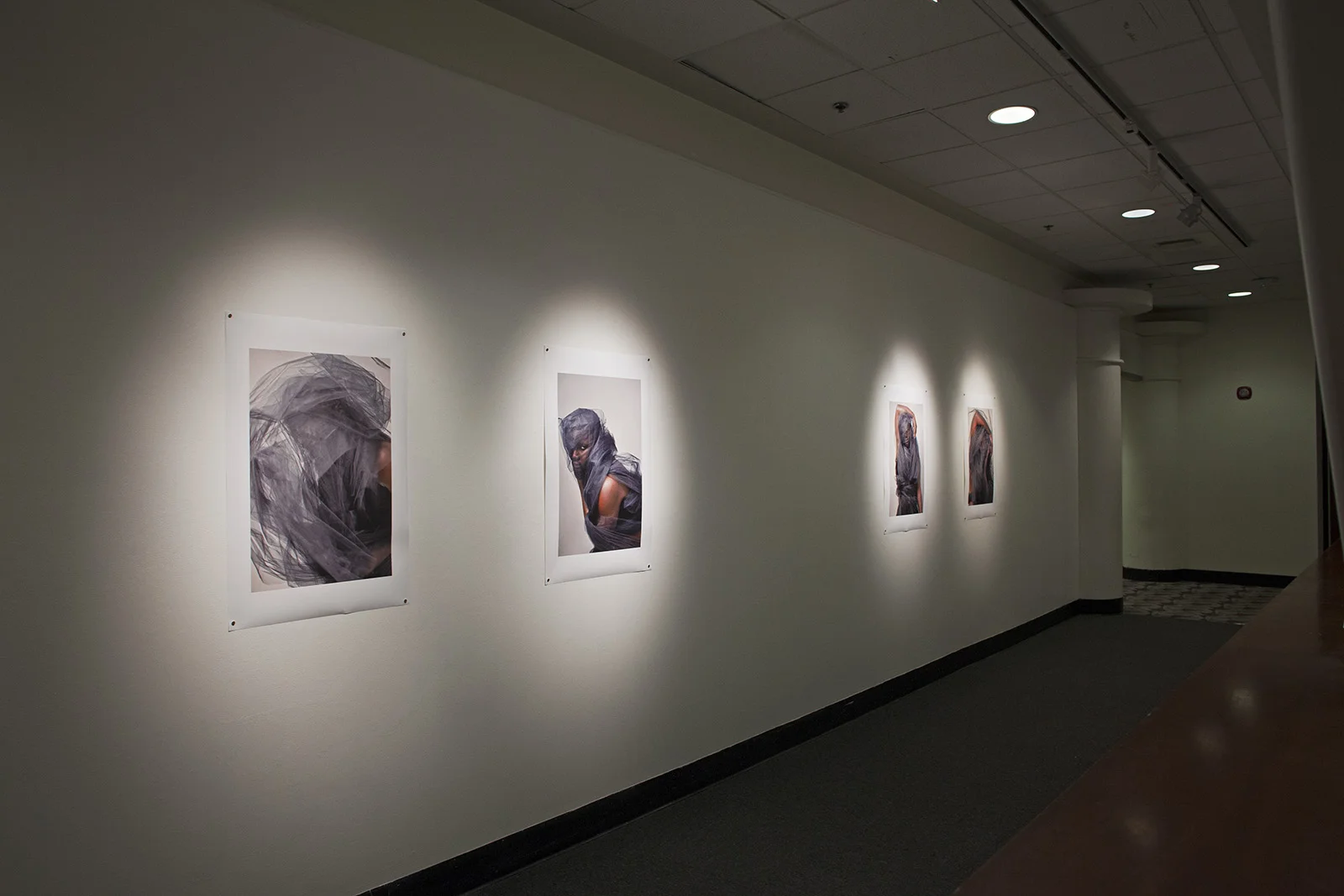 Littman & White Gallery (2017)