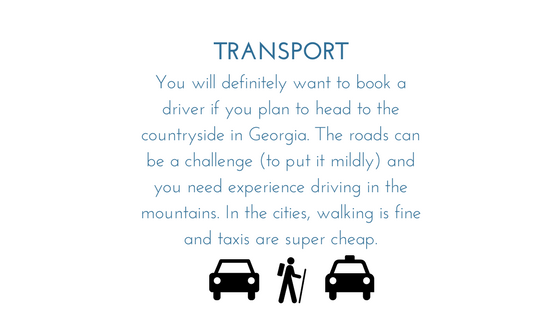 Georgia Transport - Graphic.png
