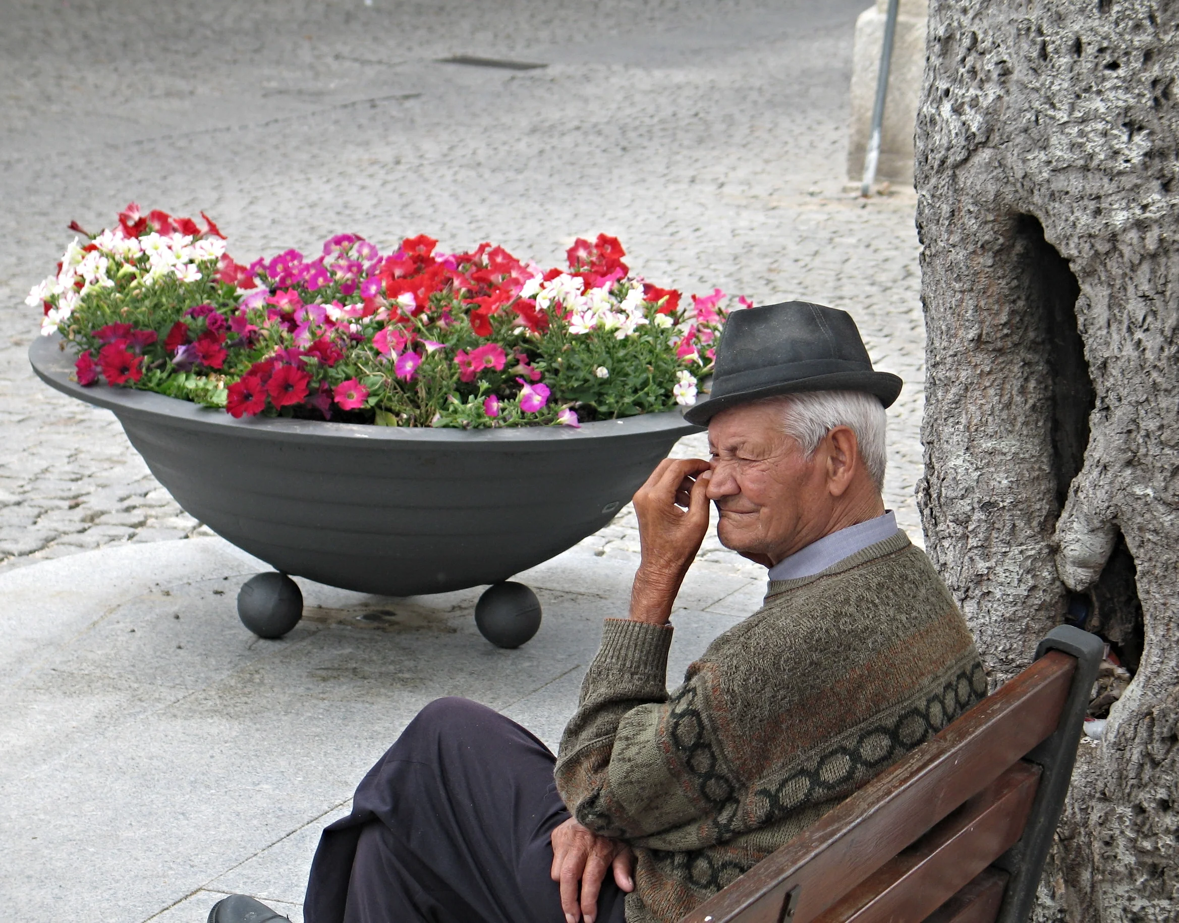 Unlike the Flowers