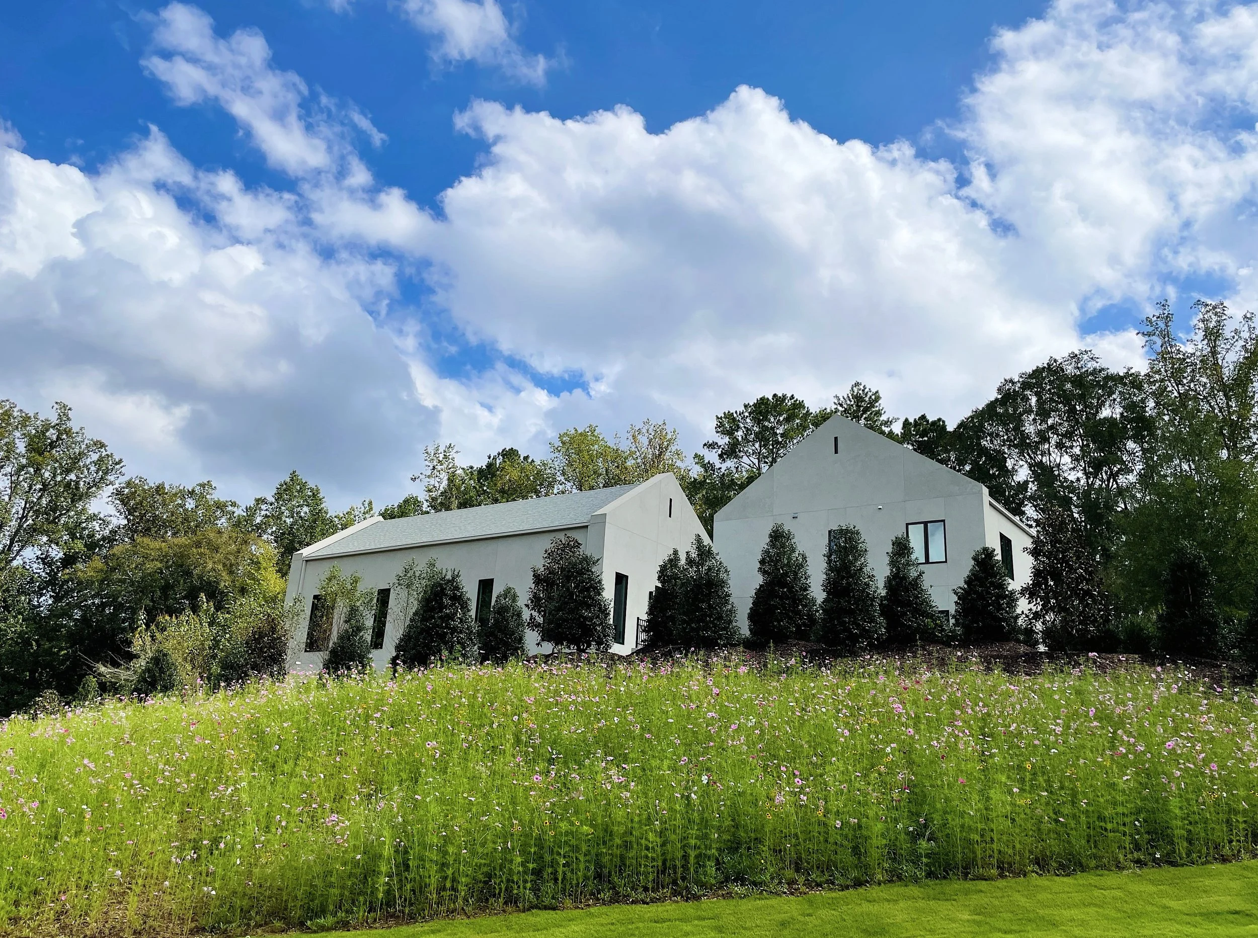 WILDFLOWER MEADOW - FIELD LANDSCAPE ARCHITECTURE - DRUID HILLS.jpg