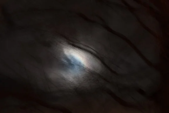 darknight_forwebsite_.jpg