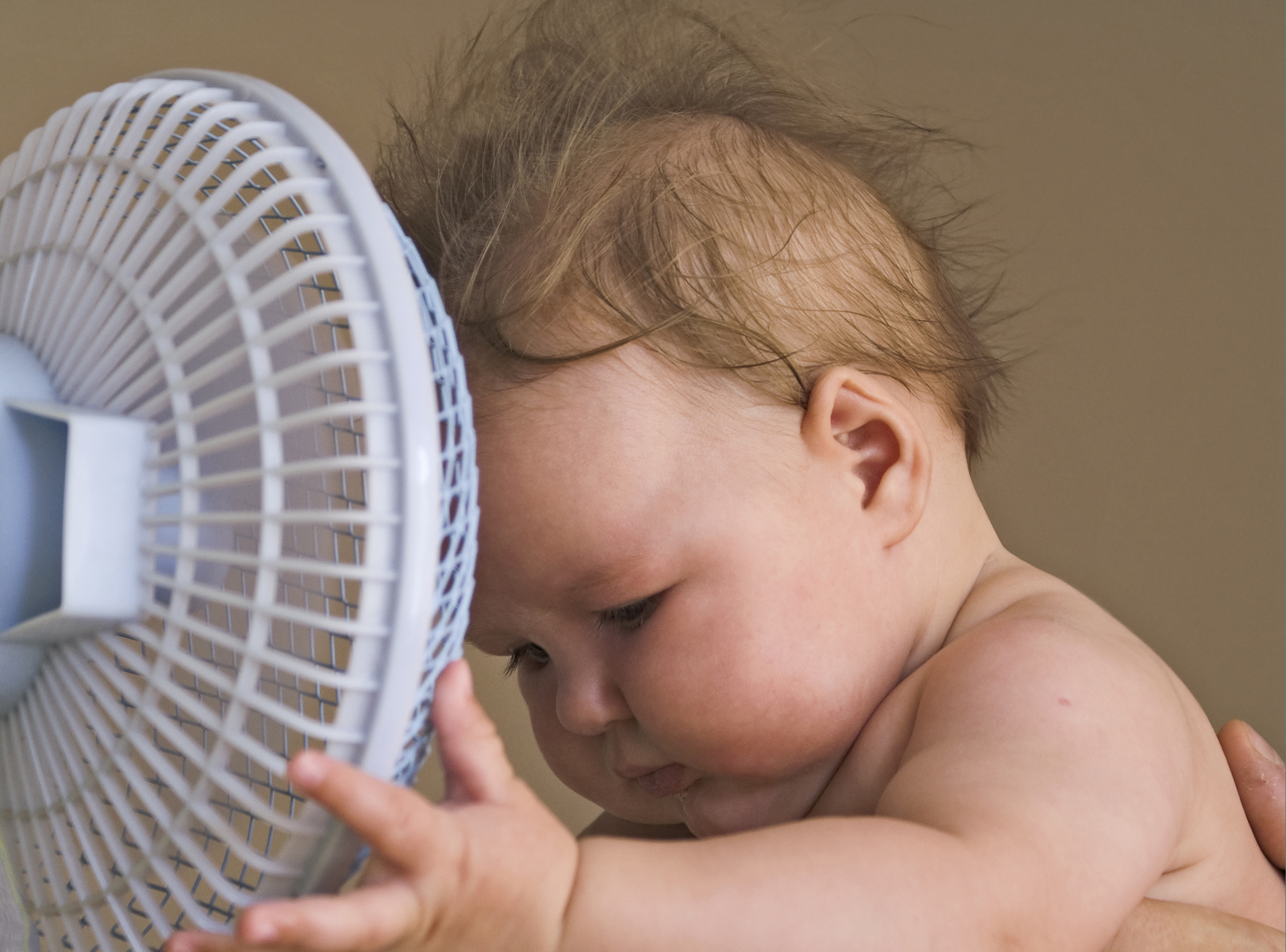 Photo by Lusyaya/iStock / Getty Images