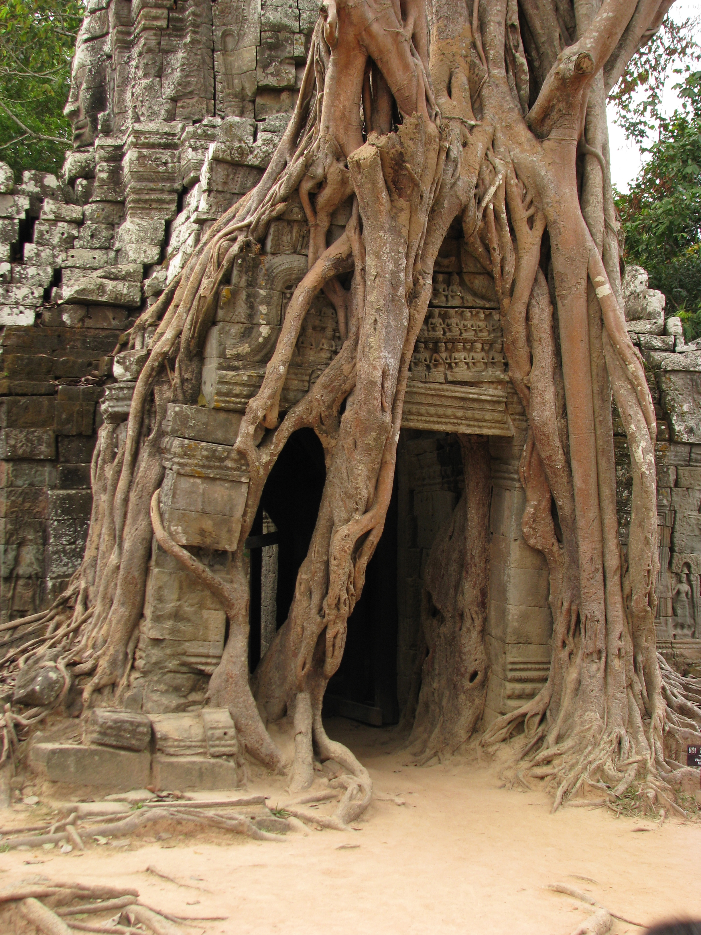 Cambodia_08_-_192_-_Ta_Som_(3238869599).jpg