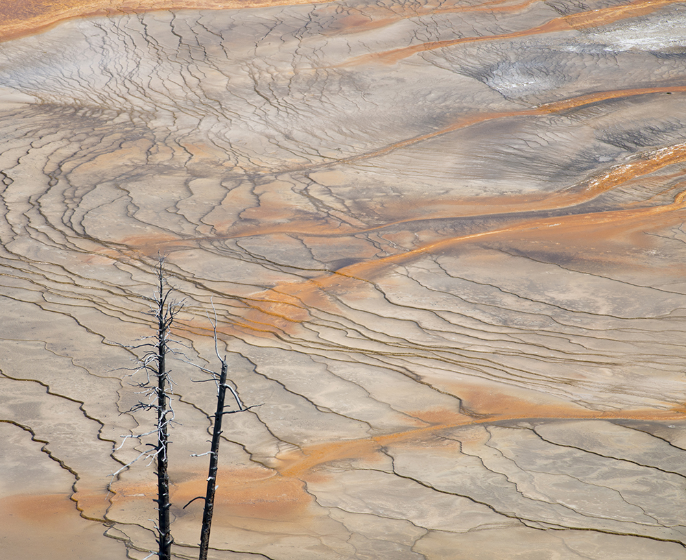 Grand Prismatic Summer