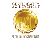 PX3-certificate-gold.jpg