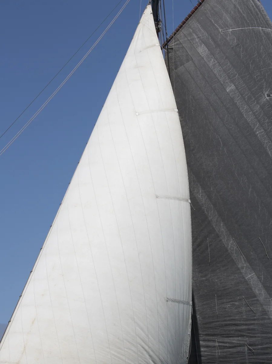 Sails 8612