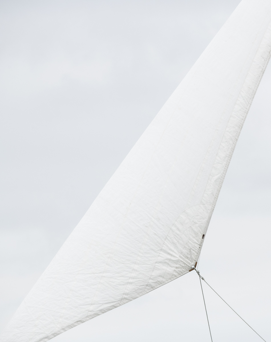 Sails 9319