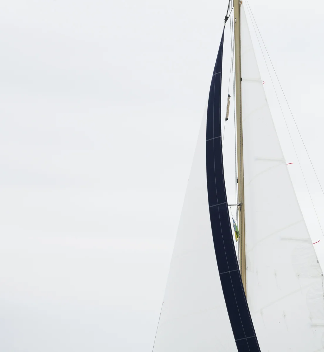 Sails 8538
