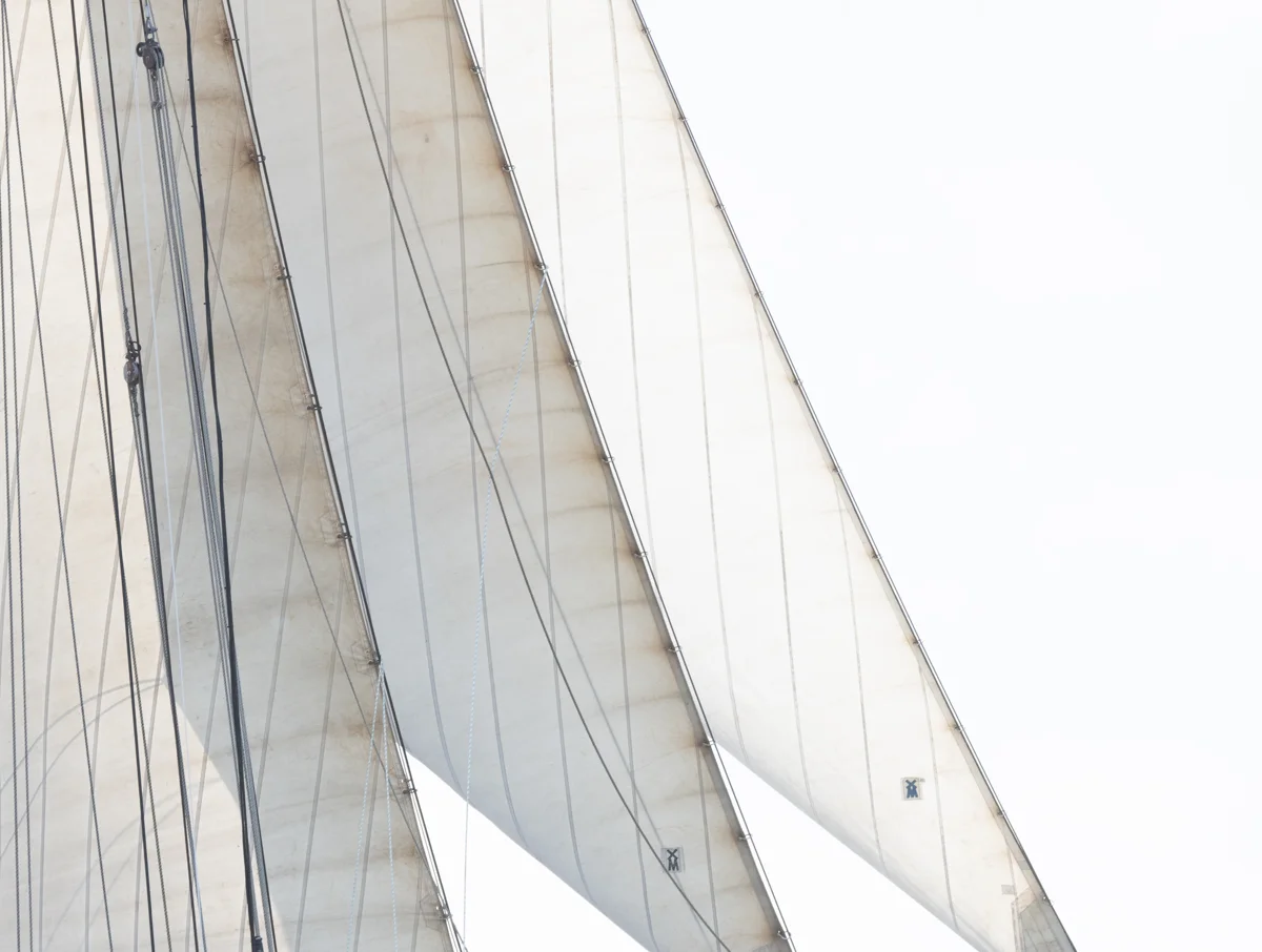 Sails 8702