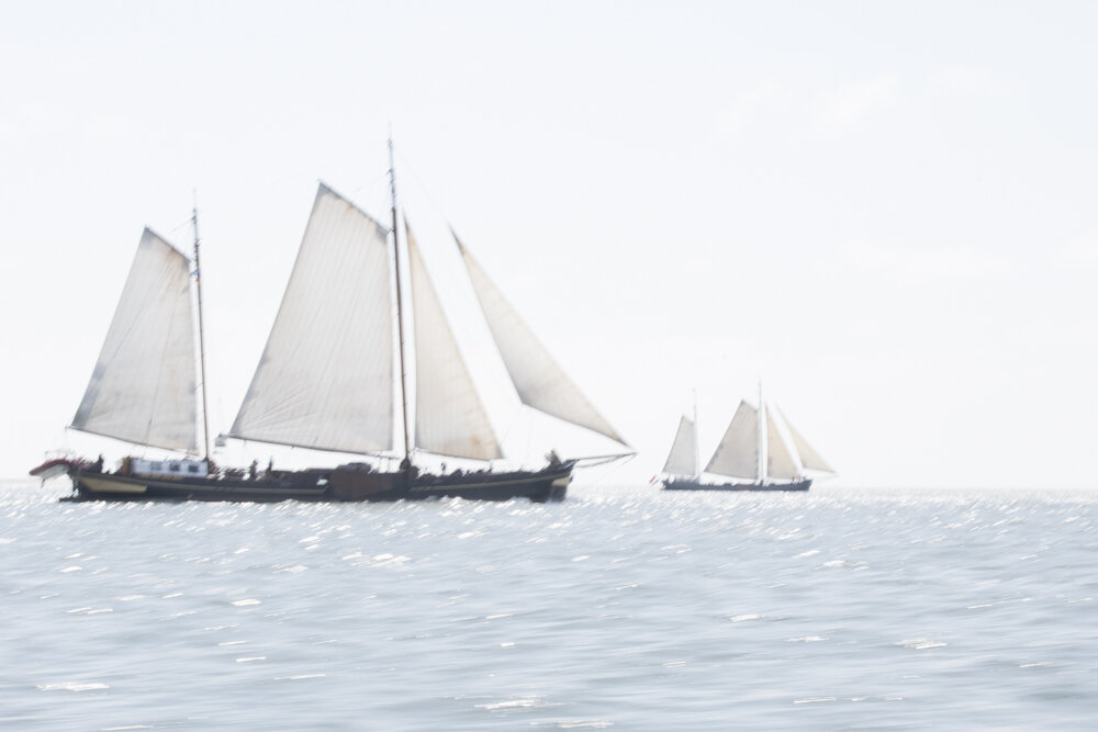 _DSC8950.jpg