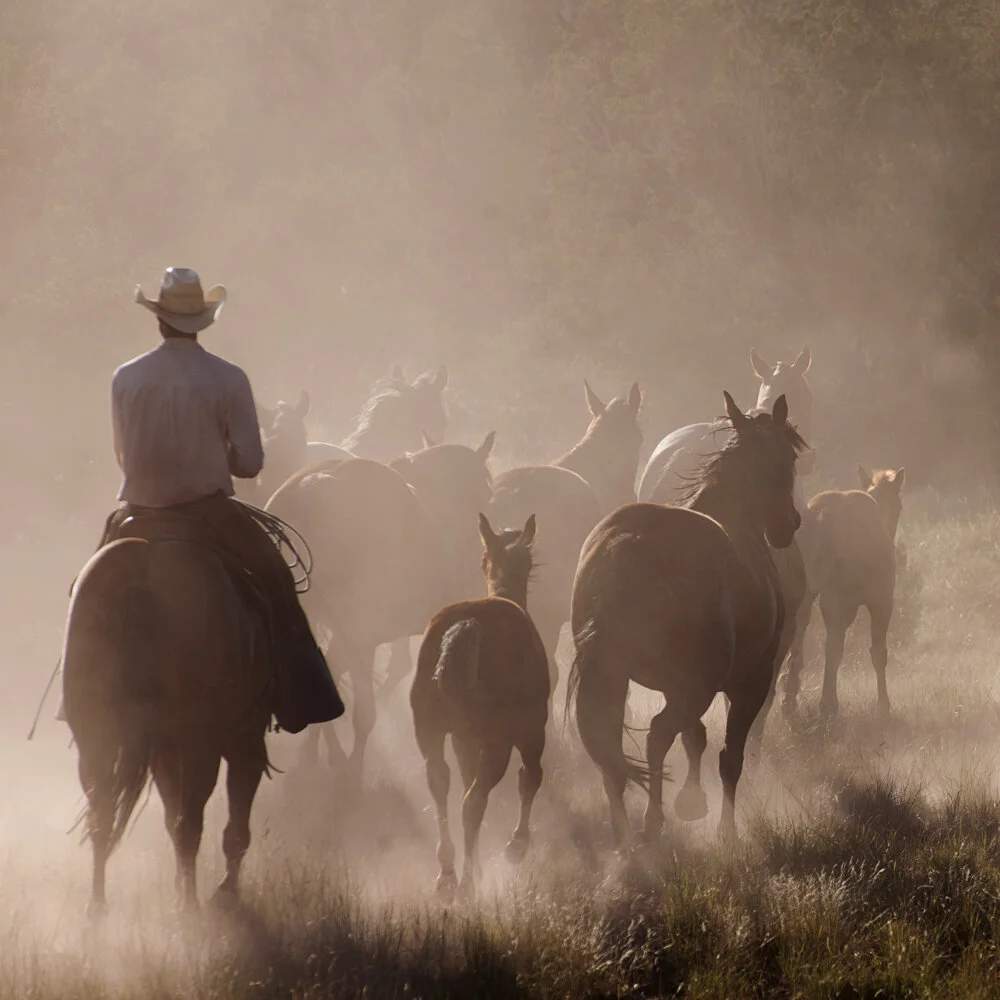 Stromberg_513 copy.jpg