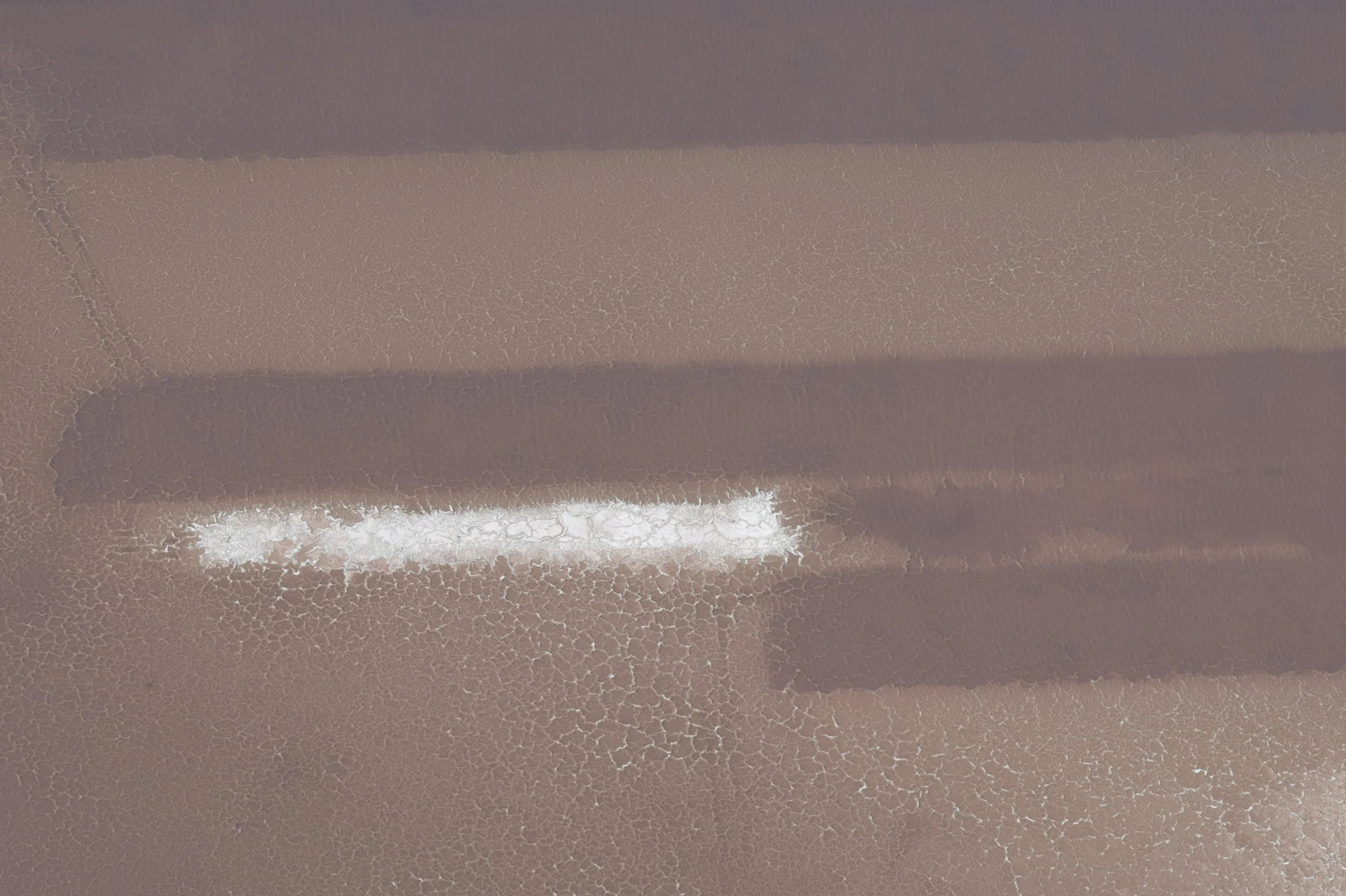 Camargue Aerial 5913