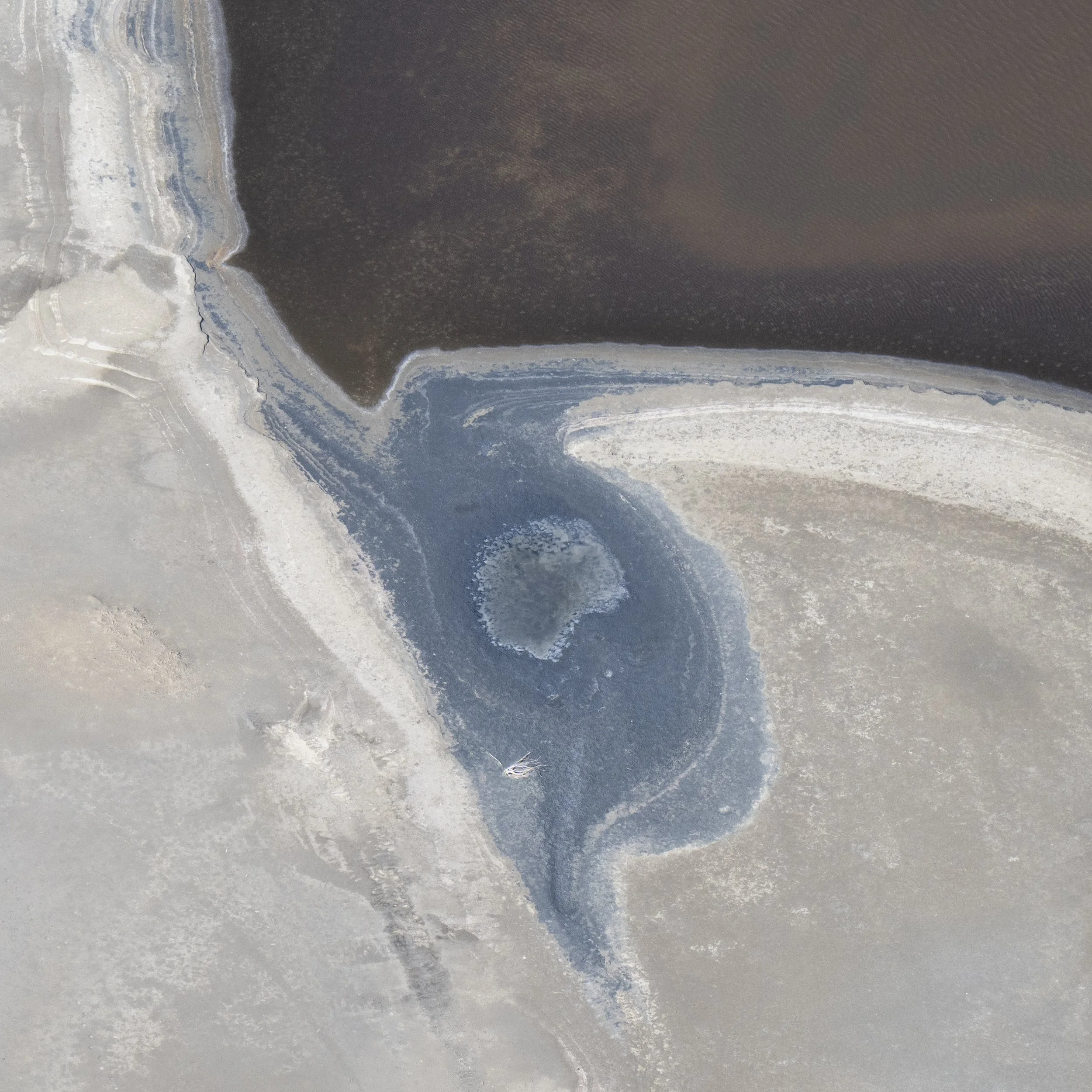 Camargue Aerial 5286