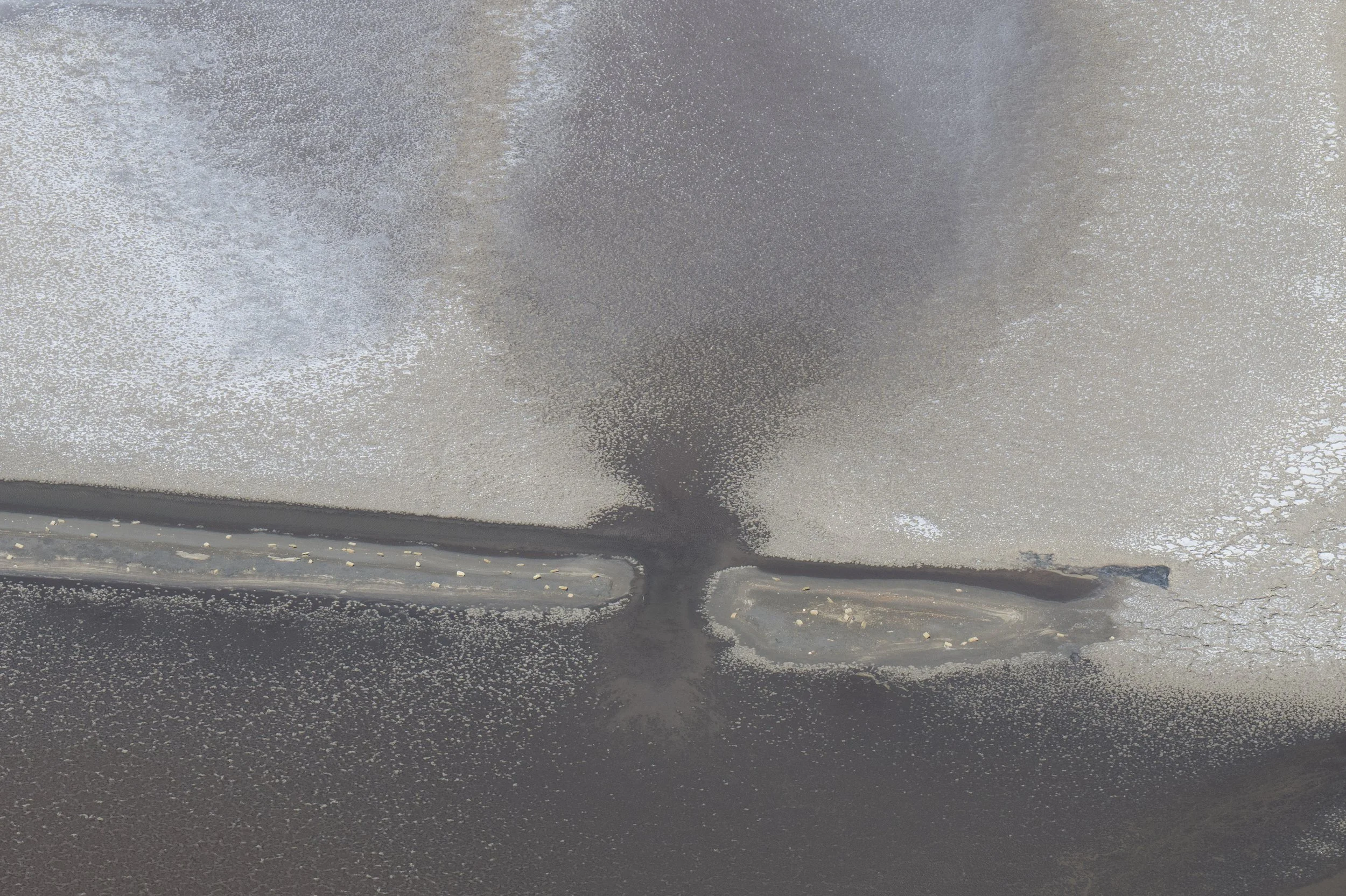 Camargue Aerial 4976