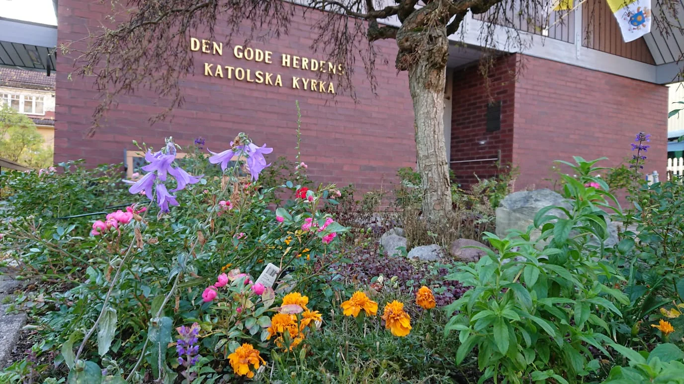 WhatsApp Image 2018-10-14 at 17.56.44.jpeg