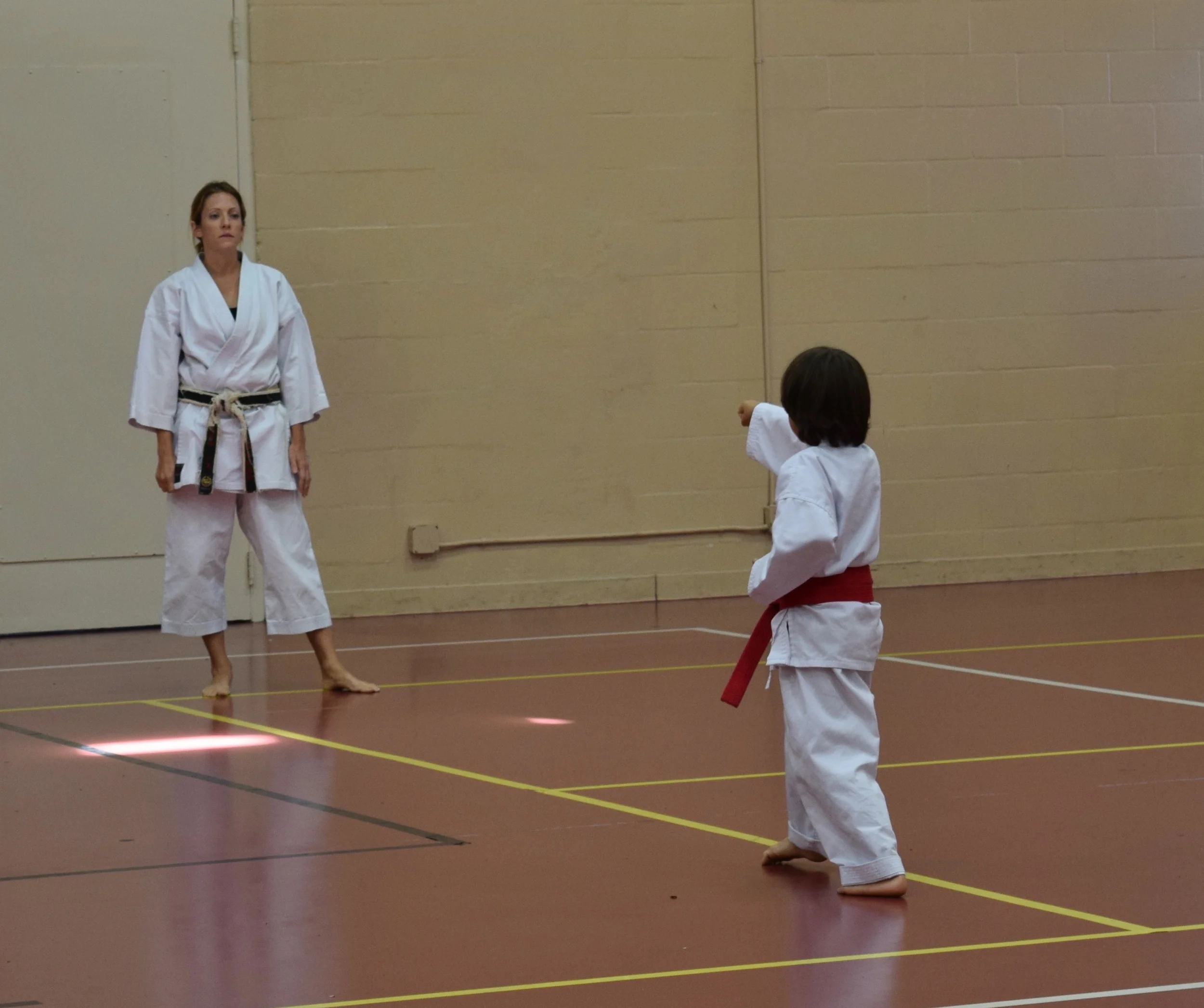 Sarasota Karate Club 2016 Fall Test