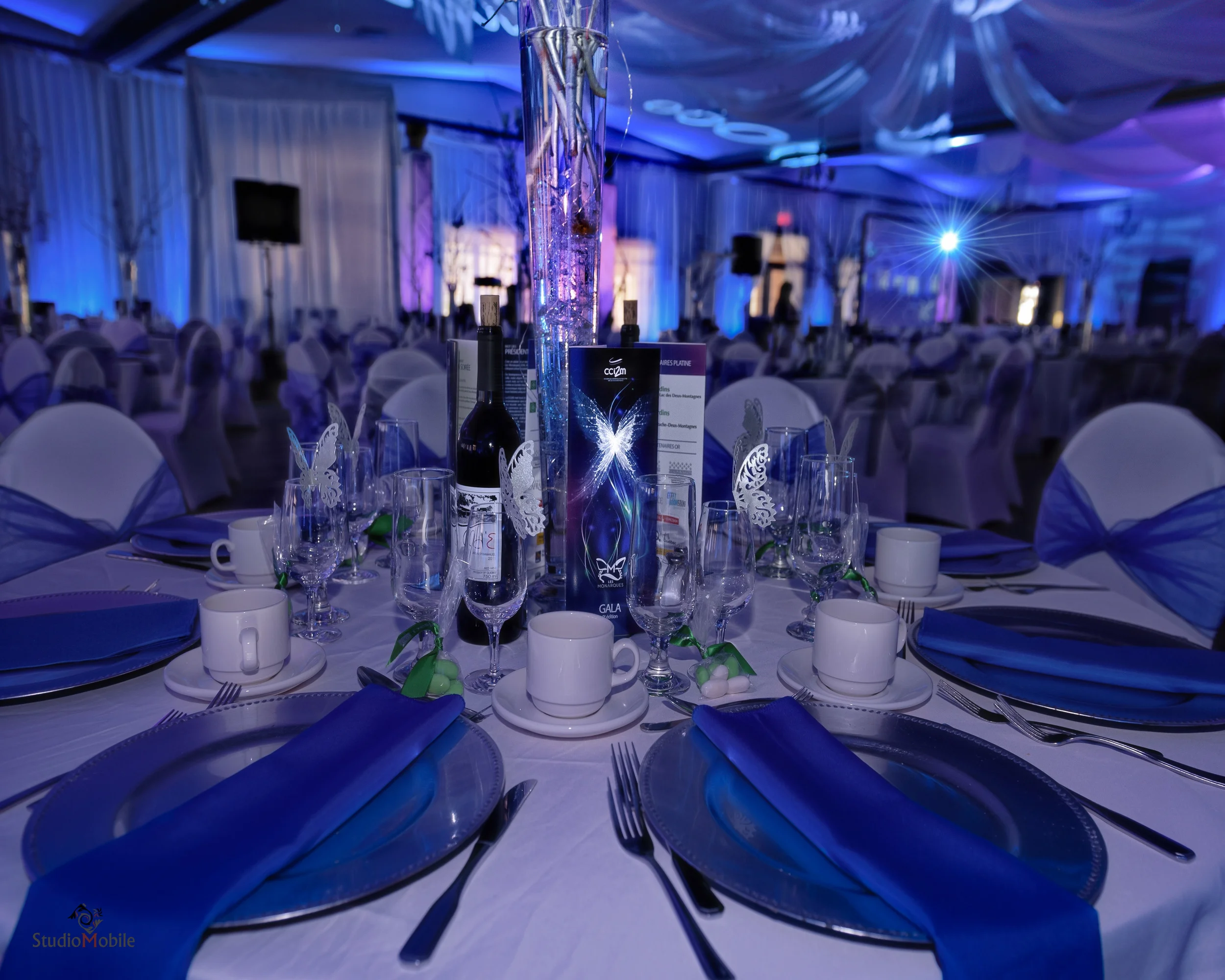 Gala Monarques 201601.JPG