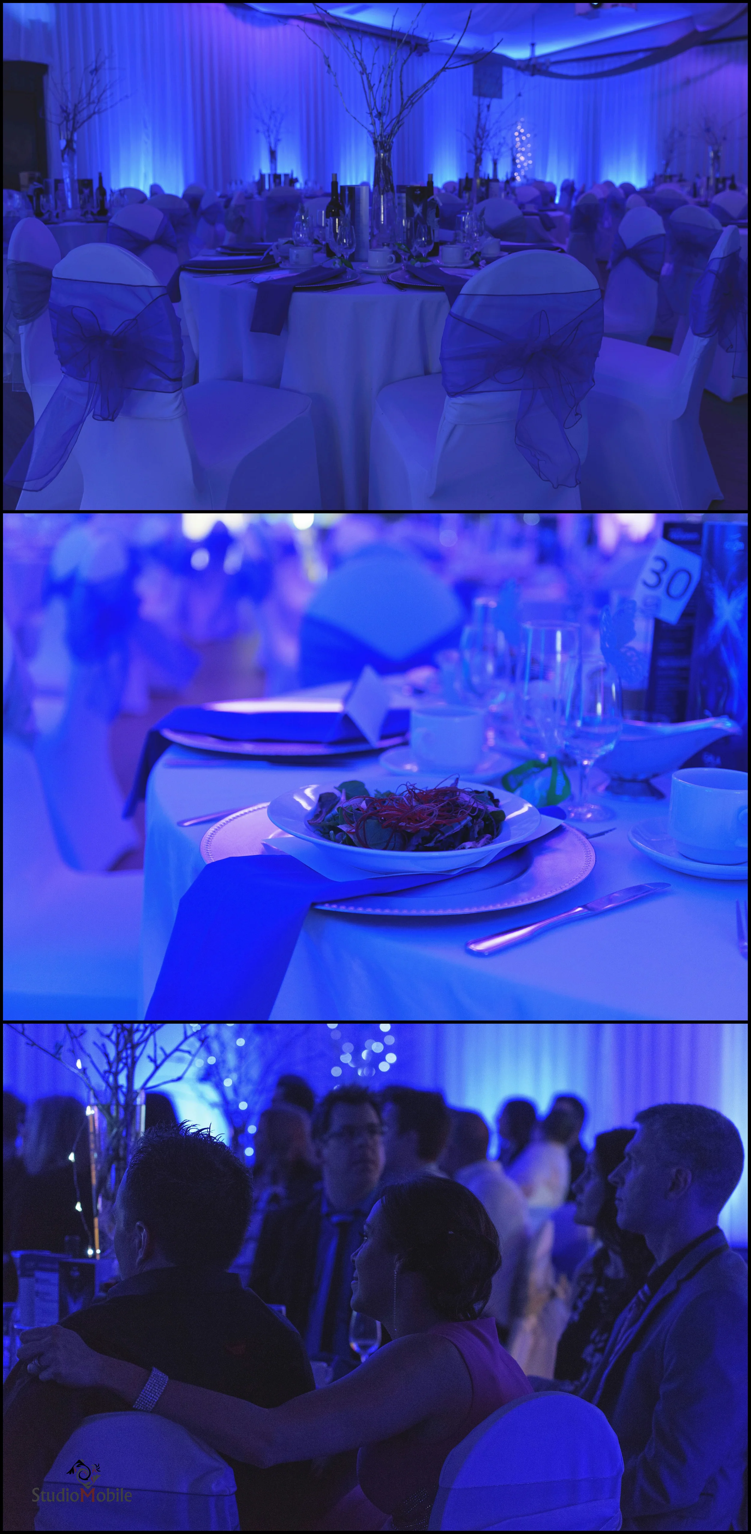 Gala Monarques 201666.JPG