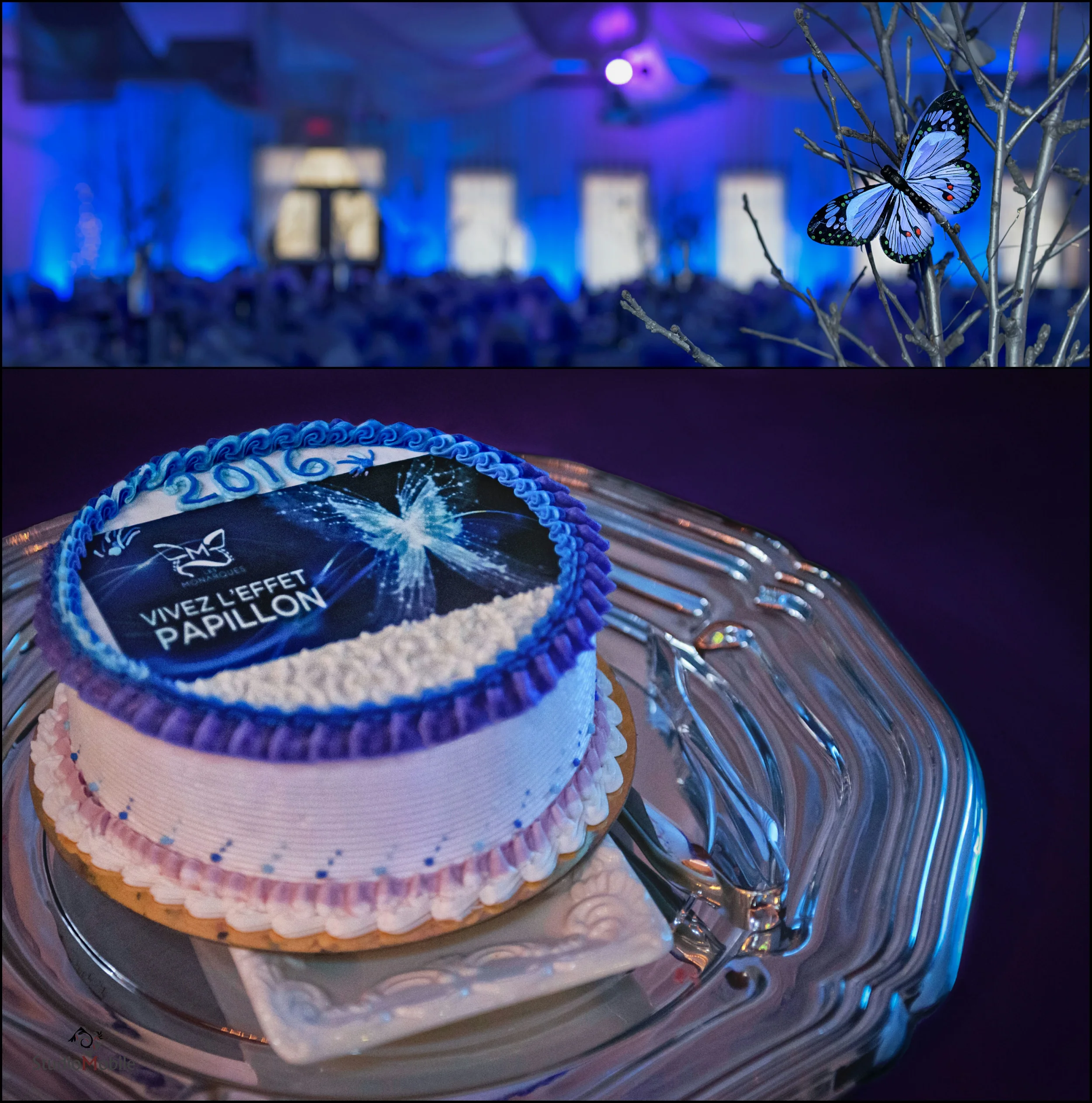 Gala Monarques 201668.JPG