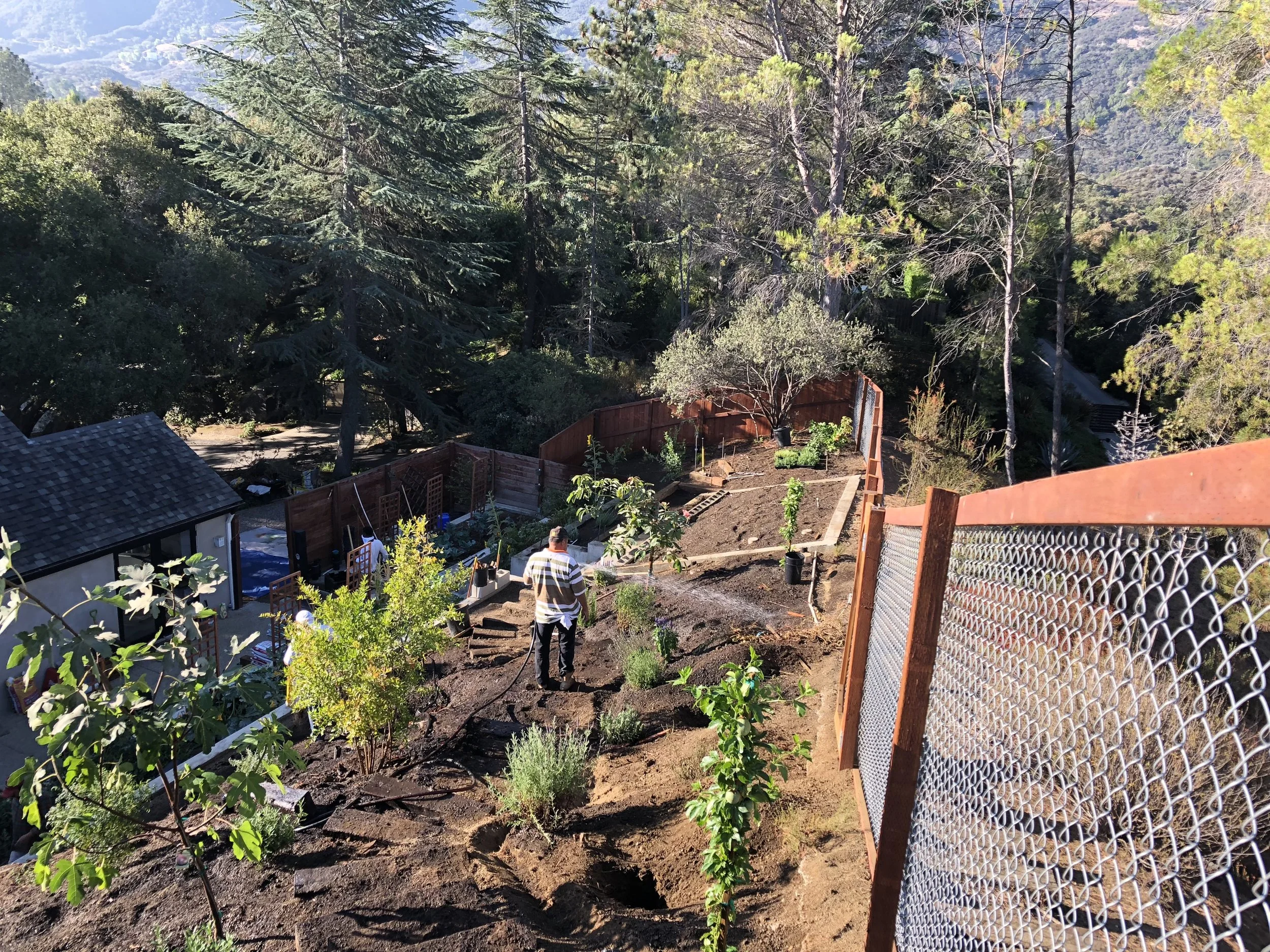 (3/7) Taking Shape