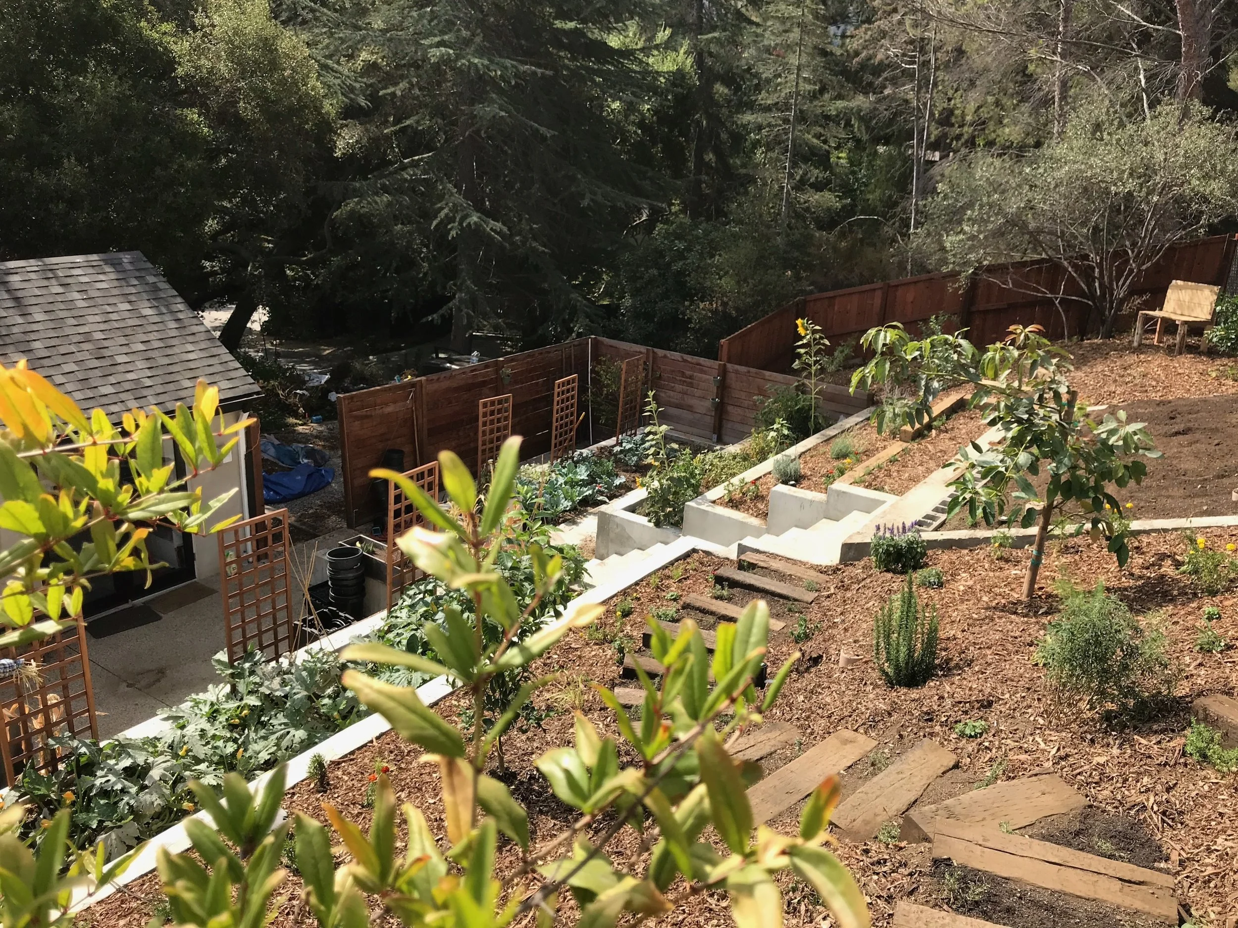 (6/7) Freshly Planted