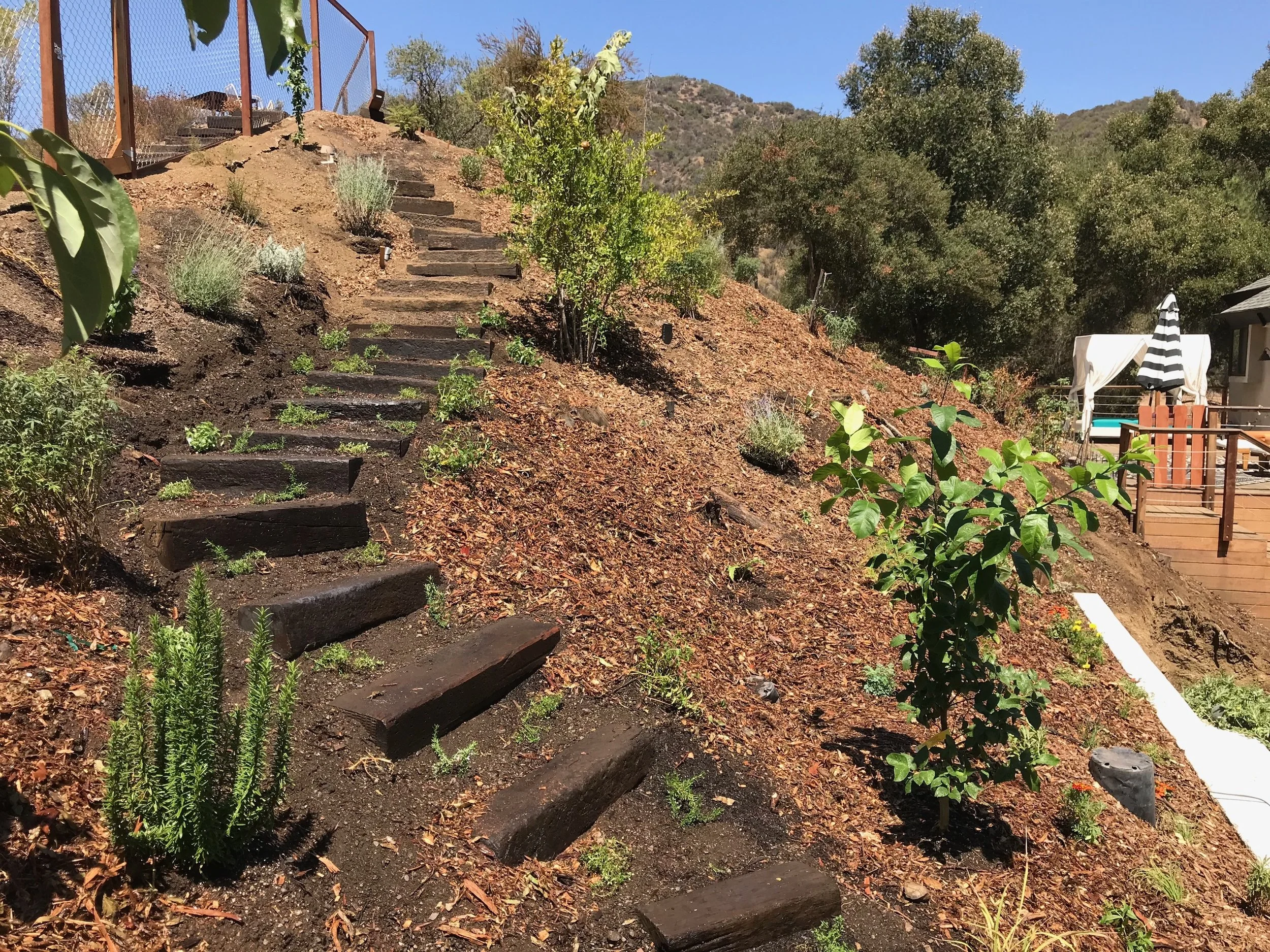 (5/7) Defining the Pathway