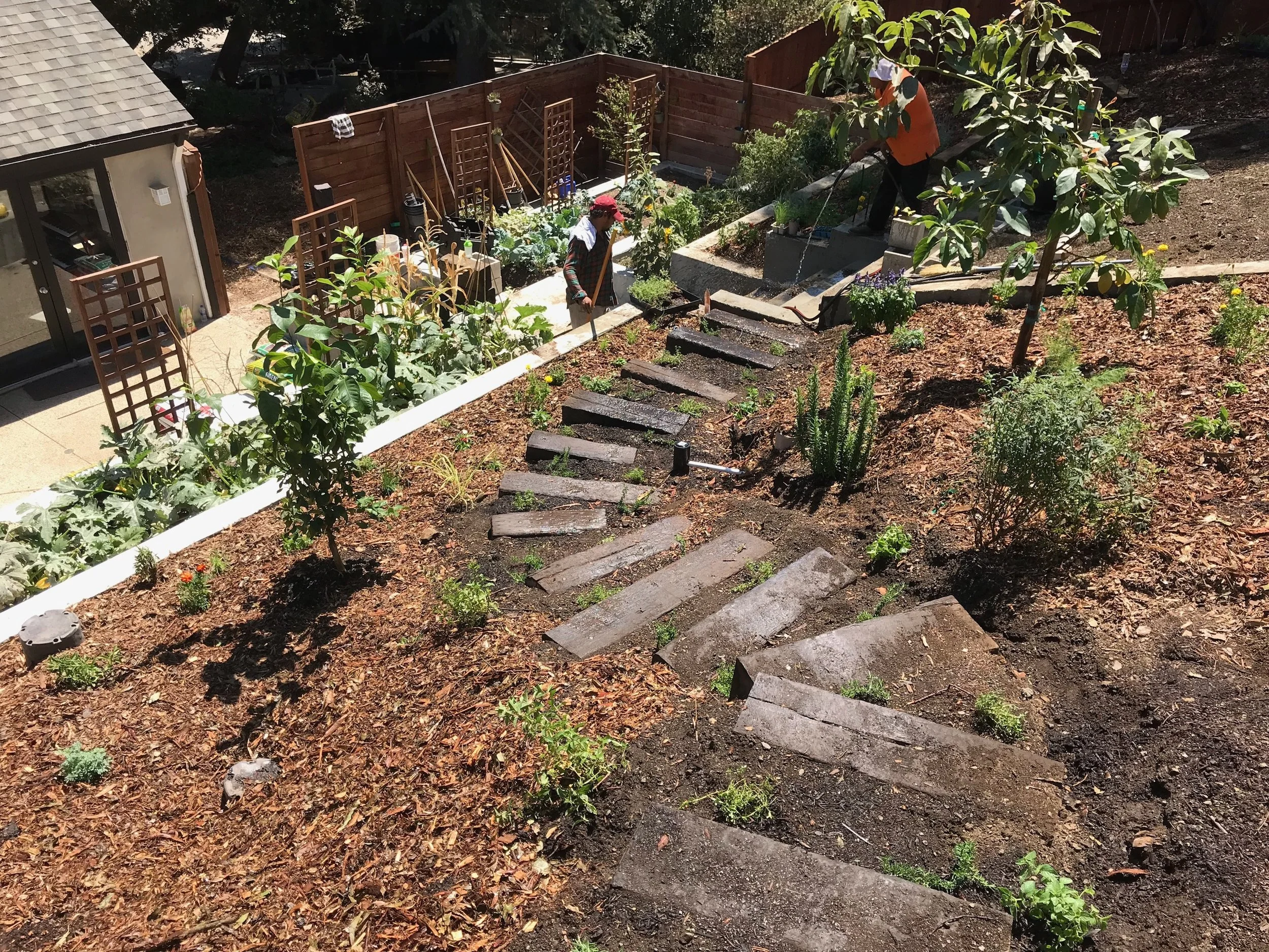 (4/7) Laying Groundcover