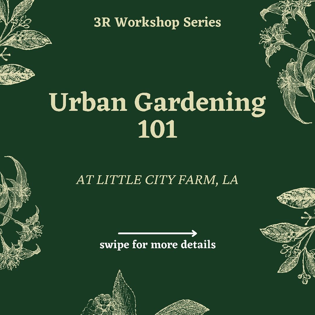 Introducing: 3R Workshops!
 
We have been hard at work these last few months and are excited to finally announce the 3R Workshop Series! 

Our first workshop is on November 21st and is an overview of all things Urban Gardening 🧑&zwj;🌾 👩&zwj;🌾
 
J