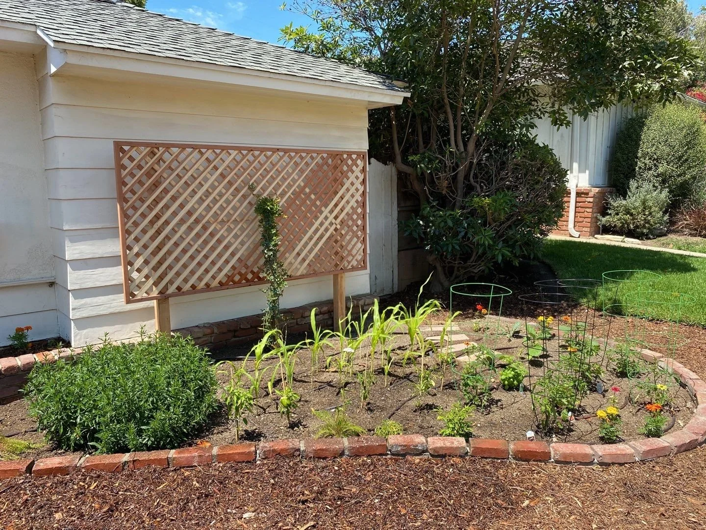 front planting.jpg