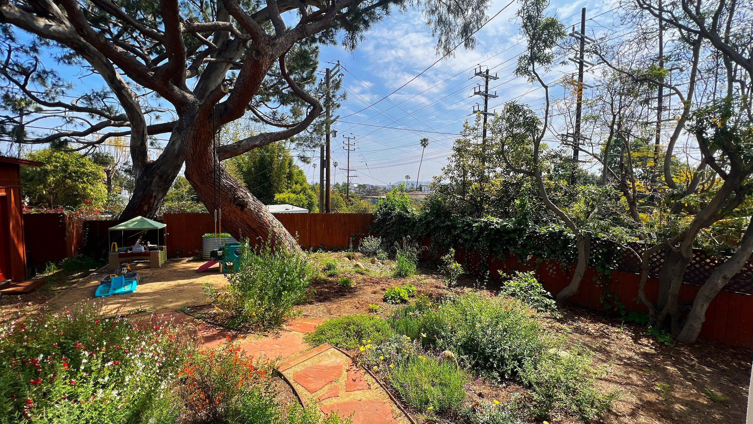 Native+Backyard+with+Play+Pad+%281%29.jpg