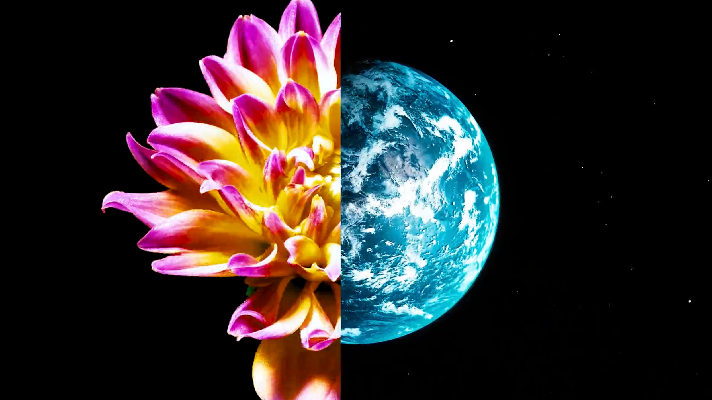 Screenshot 2024-10-24 at 10.22.03 PM.png