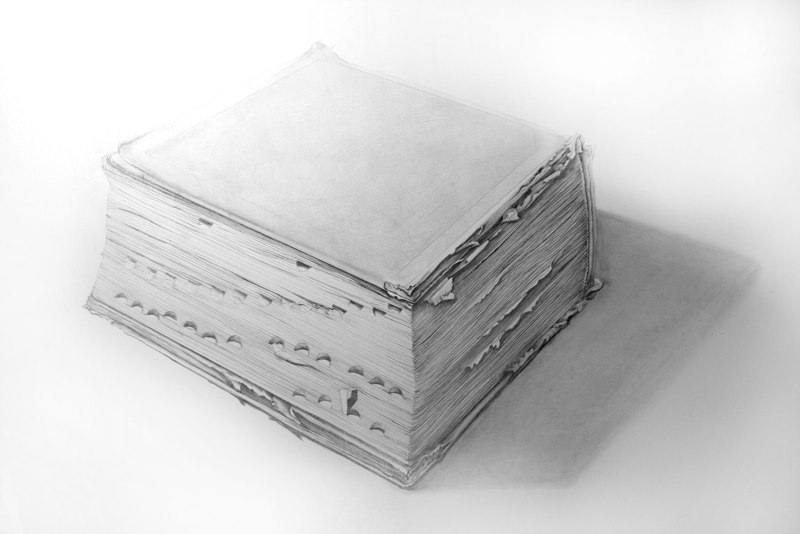 Sheila Ghidini A Very Old Dictionary from Cathedral School, 2012 graphite on paper 28 x 20 inches