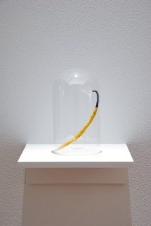 Esther Traugot Vanilla Pod, 2009 vanilla pod, hand-dyed cotton thread, plexiglas stand, glass dome on shelf dome: 4 inches diameter x 7 inches high; shelf 9 inches deep x 12 inches wide