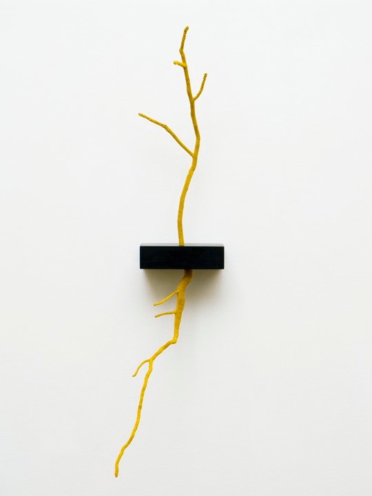 Esther Traugot Unearthed, 2011 hand-dyed cotton thread, stick and root, ebony wood shelf 13.5 x 3.24 x 5.75 inches edition of 5