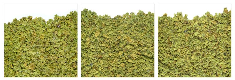 Stephen Galloway Offing,2011 LightJet C-Print from scan-based image 3 panels 40 x 124 inches overall