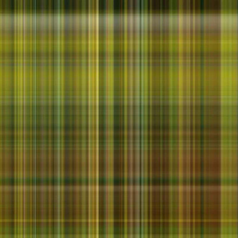 Penny Olson 0028.9a(fennel) face-mounted archival inkjet print 23.25 x 23.25 x .75inches