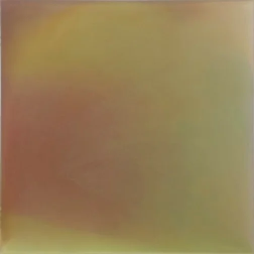 Keira Kotler  February 1 to April 17, 2010 [I Look for Light], urethane and varnish on acrylic 24 x 24 inches